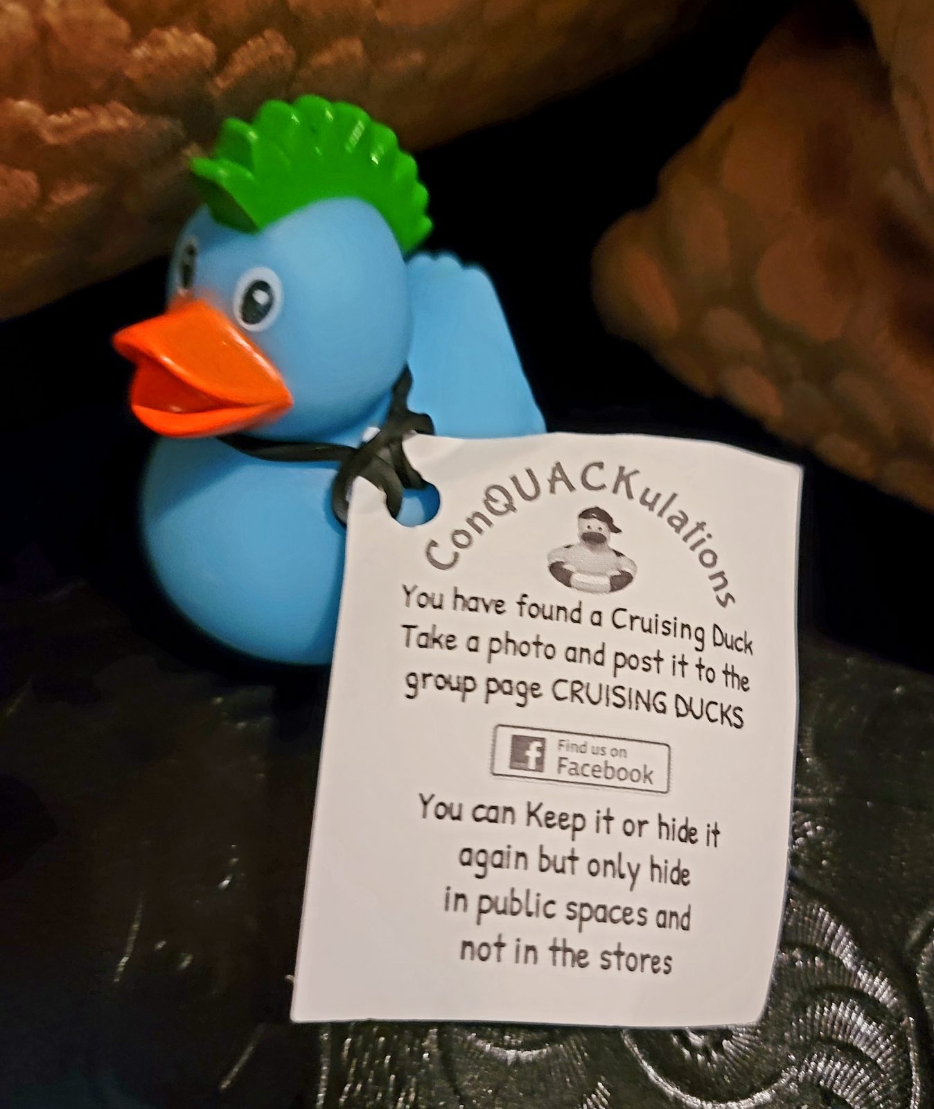 A hidden cruising duck with a green mohawk