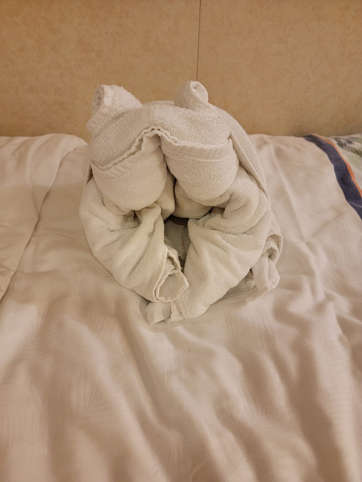 A towel animal waiting on the bed