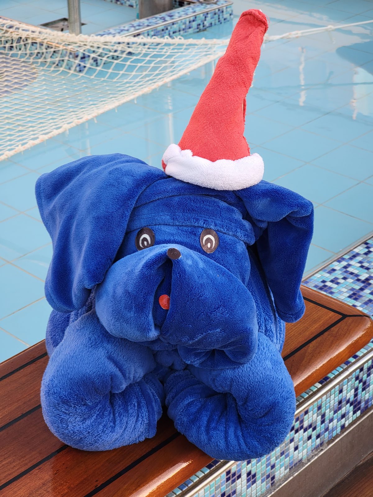 Our towel elephant in a Santa hat