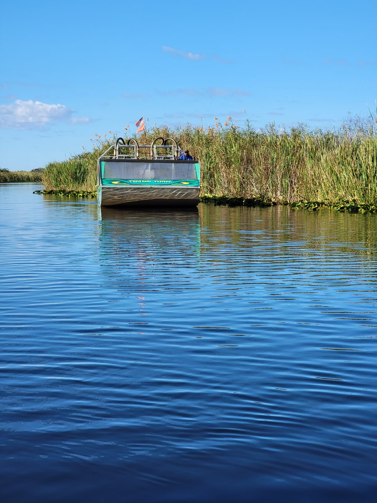 Our airboat gliding through the marsh