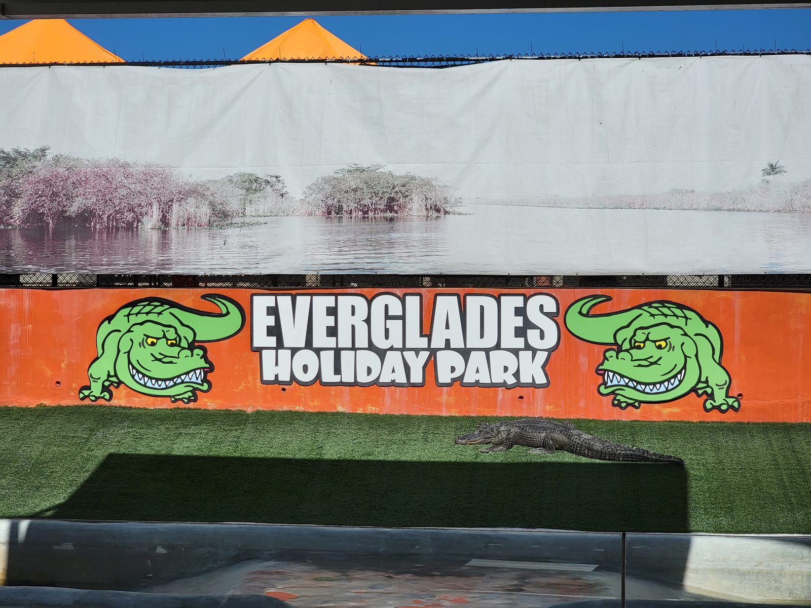 The Everglades Holiday Park sign and a gator