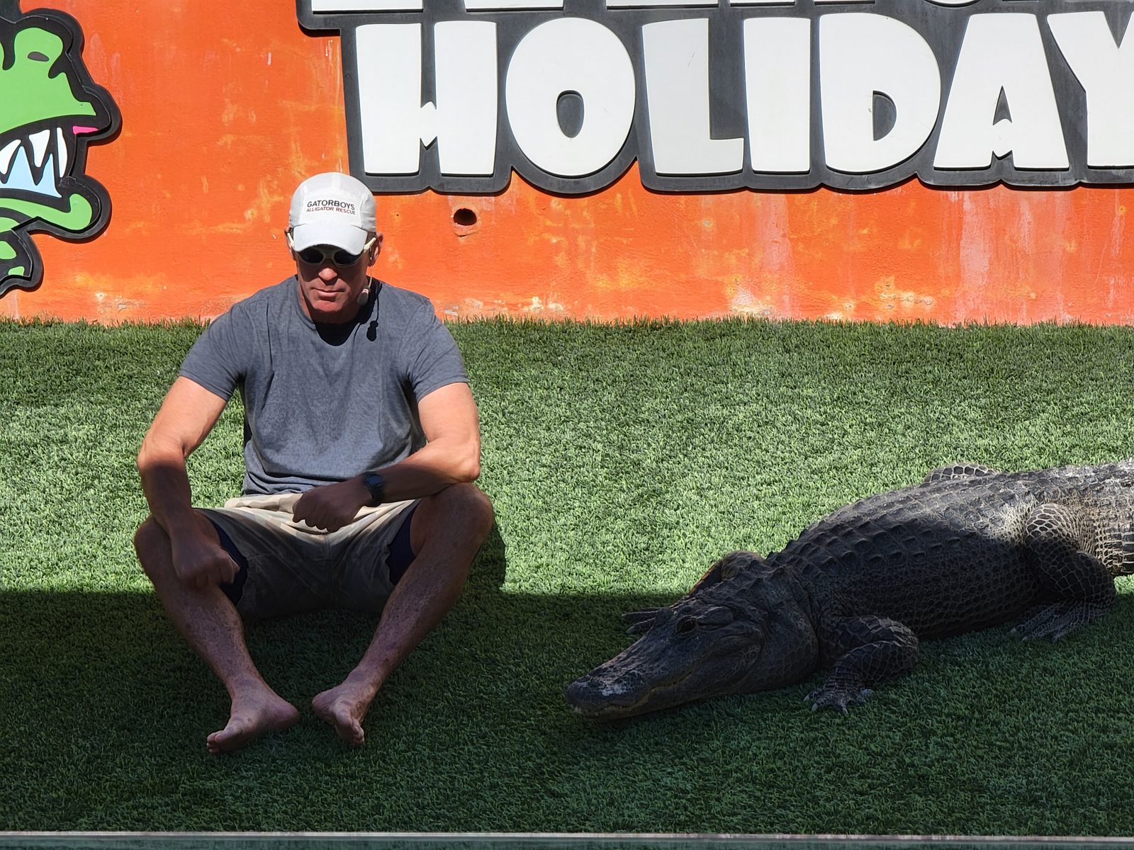 Up close with a full grown gator