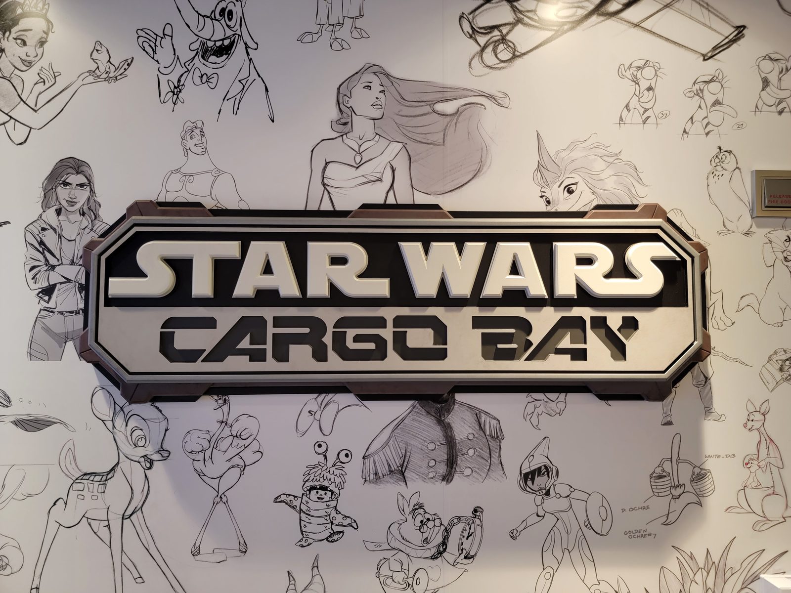The Star Wars Cargo Bay on the Wish