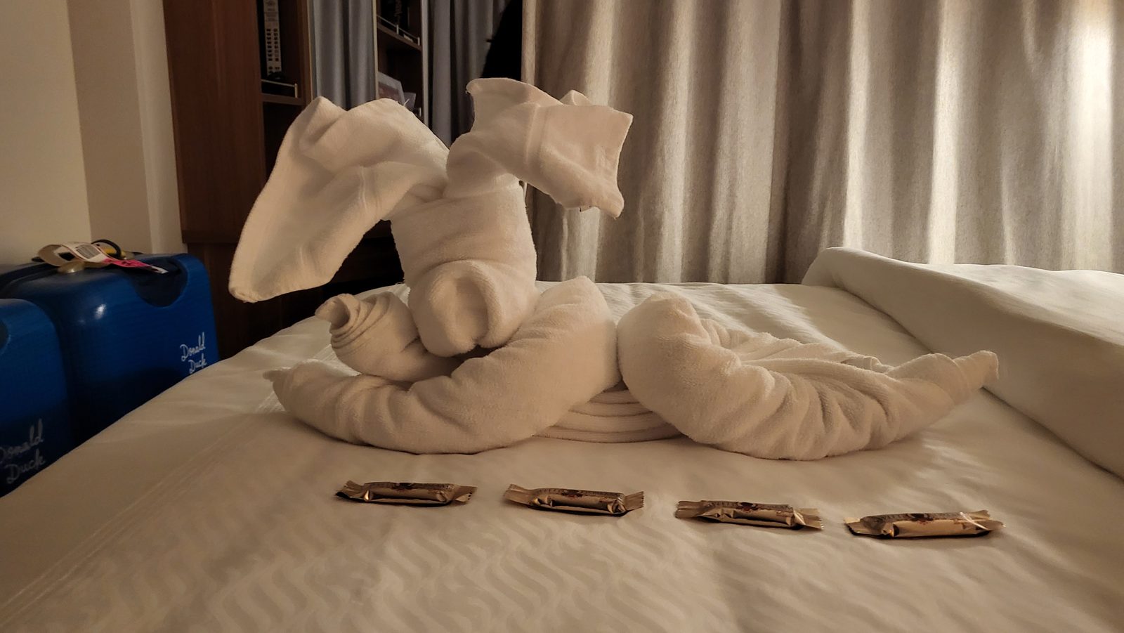 Our first towel animal waiting on the bed