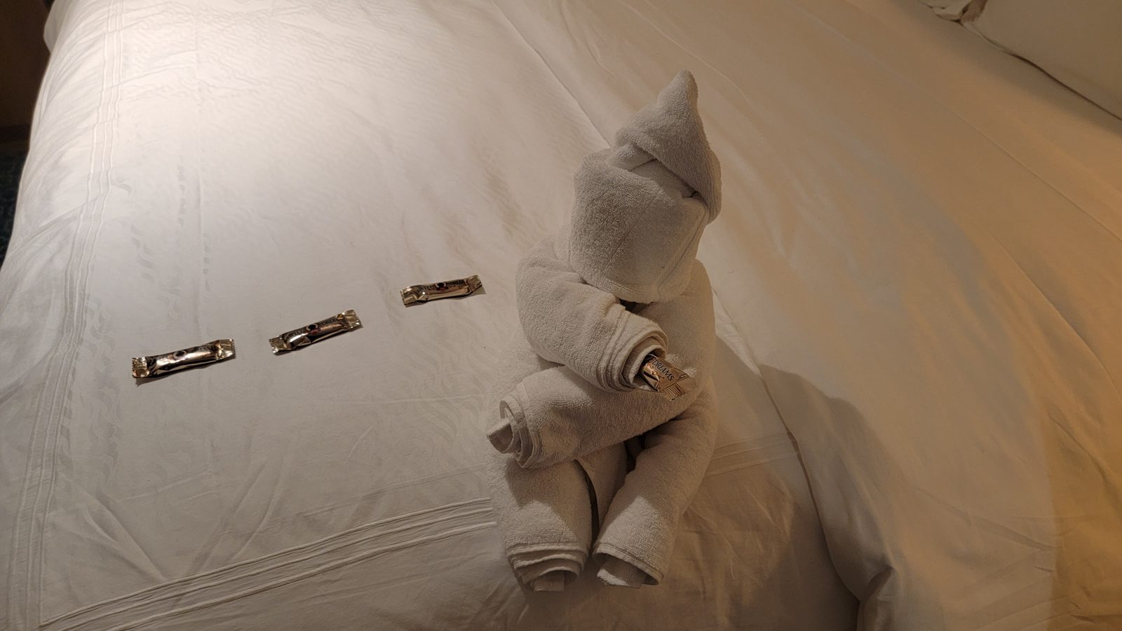 Our towel animal waiting on the bed