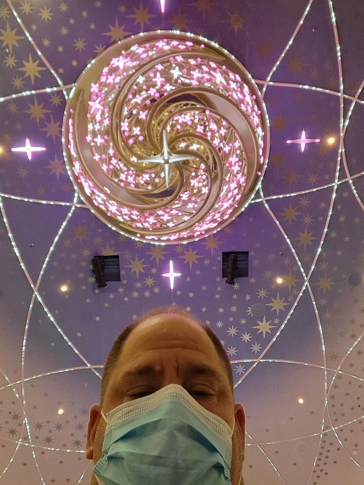 Looking up at the Grand Hall ceiling, mask still on