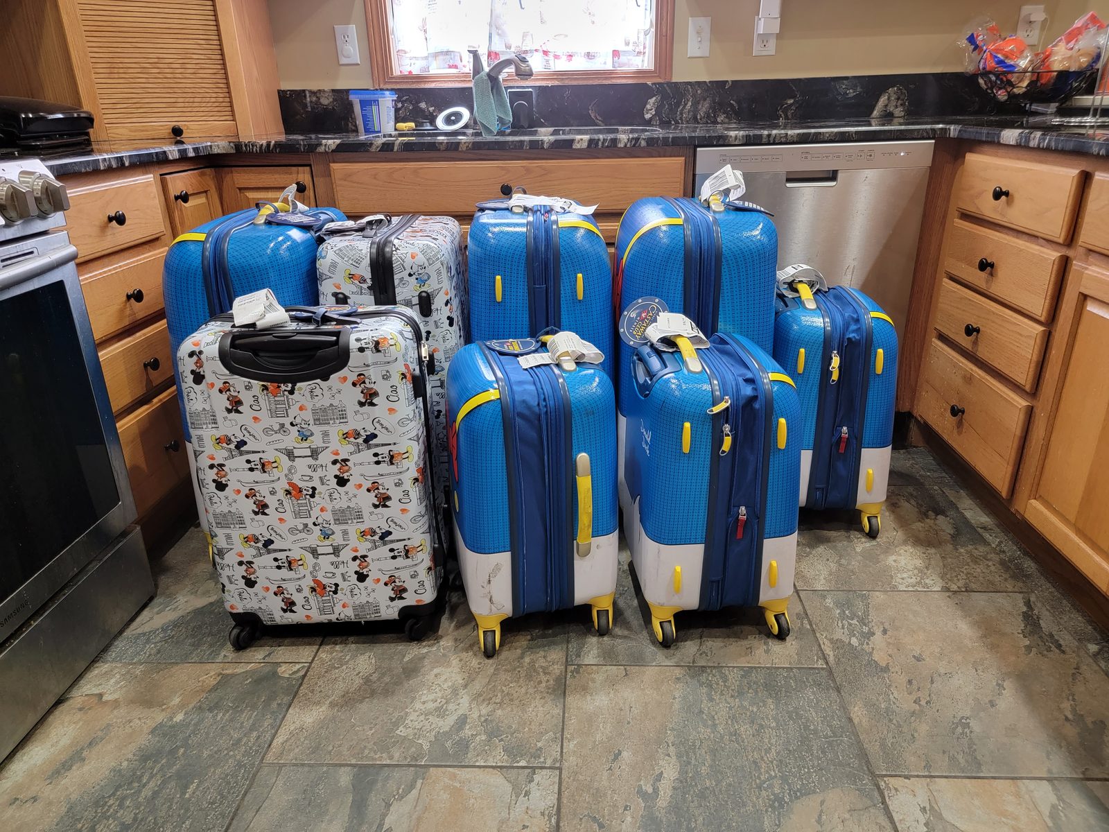 Suitcases back home in the kitchen