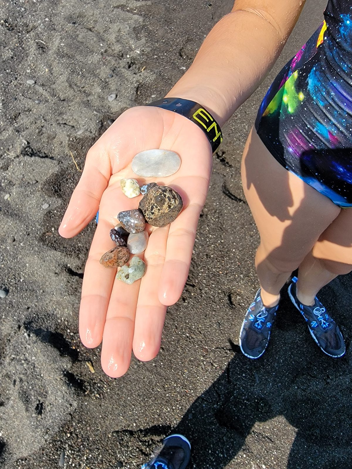 Pebbles we collected from the beach