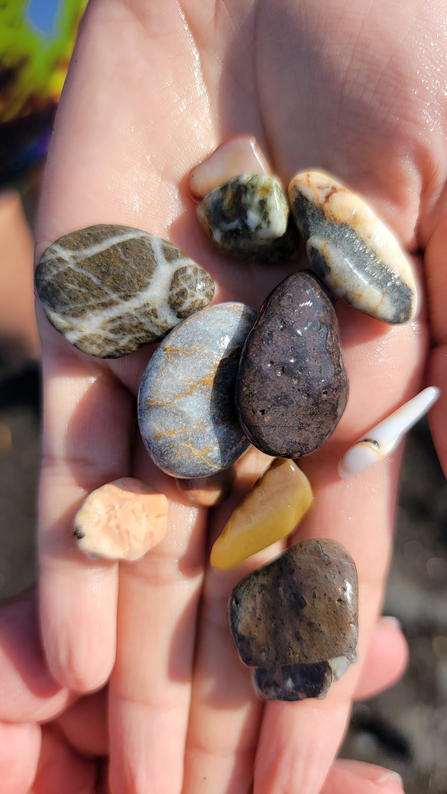 Pebbles from the black sand beach