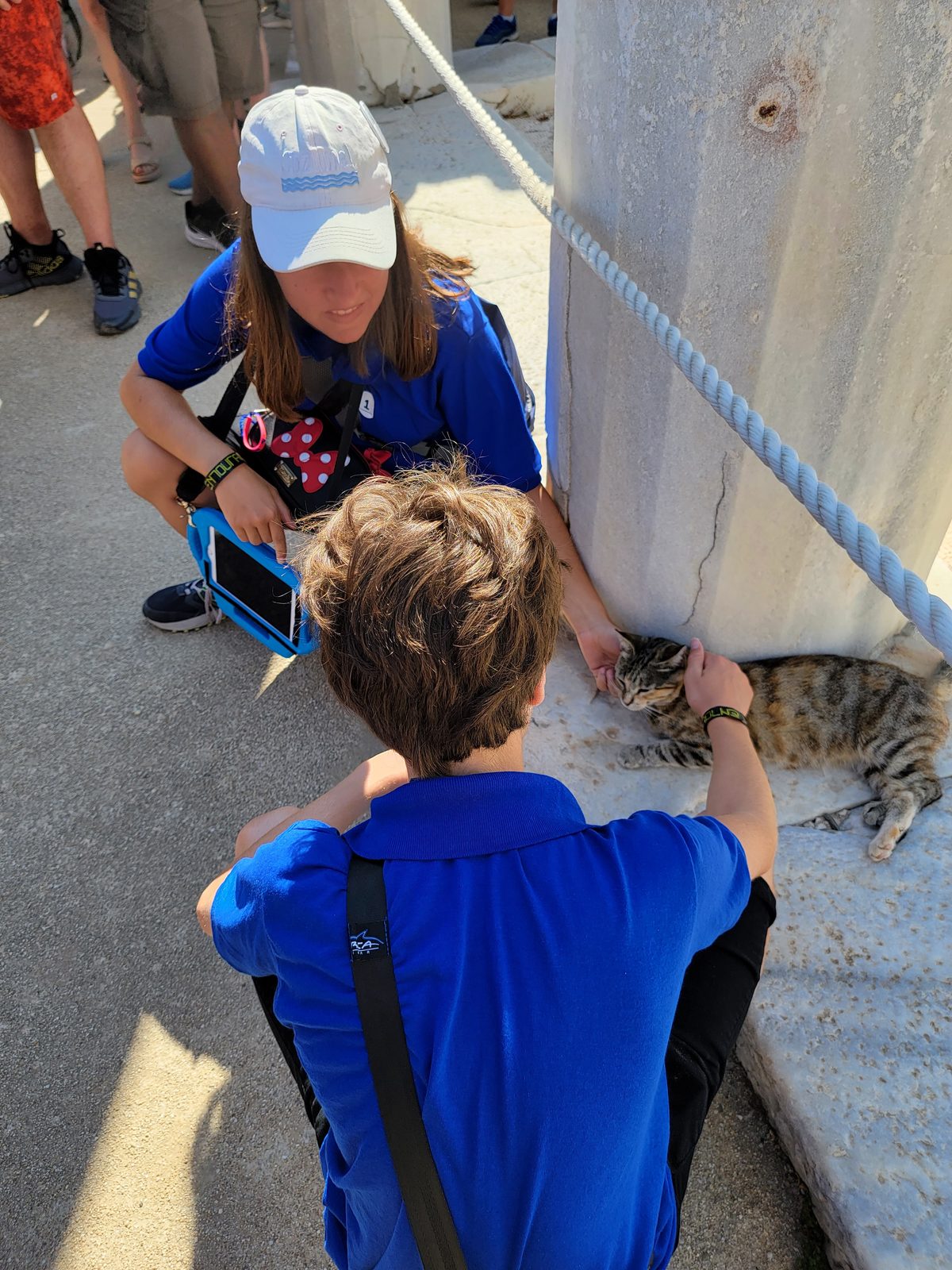 Thomas makes friends with a Delos cat