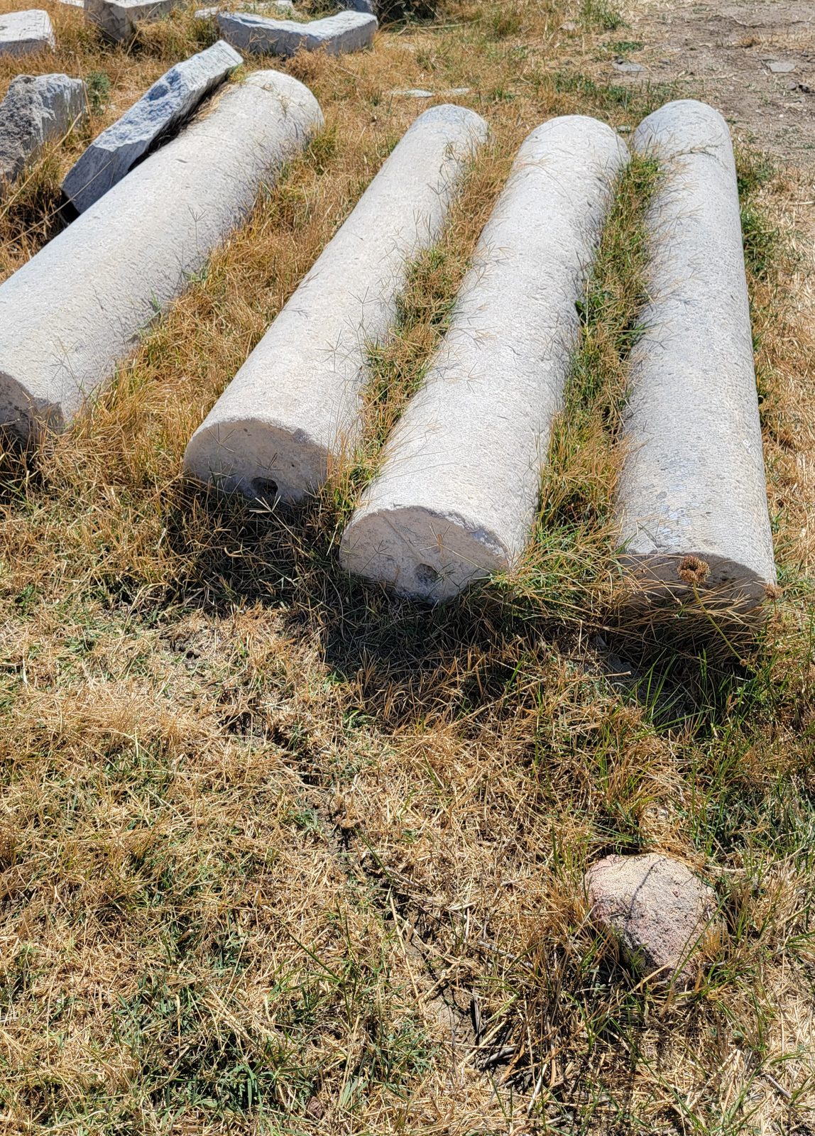 Fallen column pieces in the grass on Delos