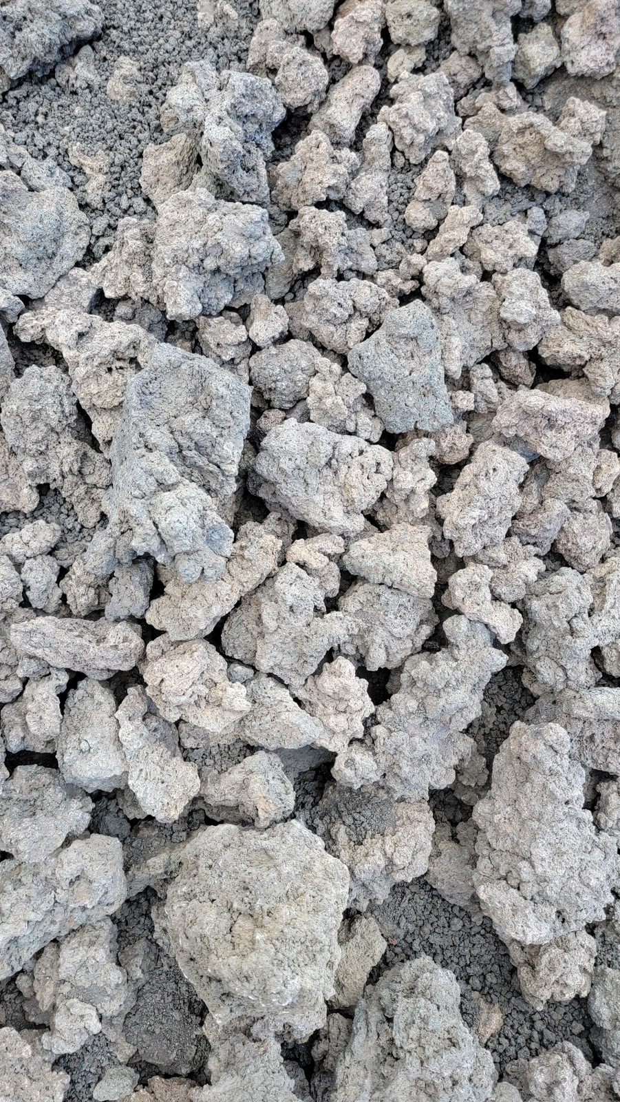 Pumice on the Etna lava flow