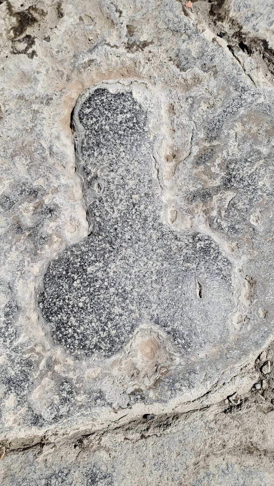 A carved symbol in a Pompeii paving stone