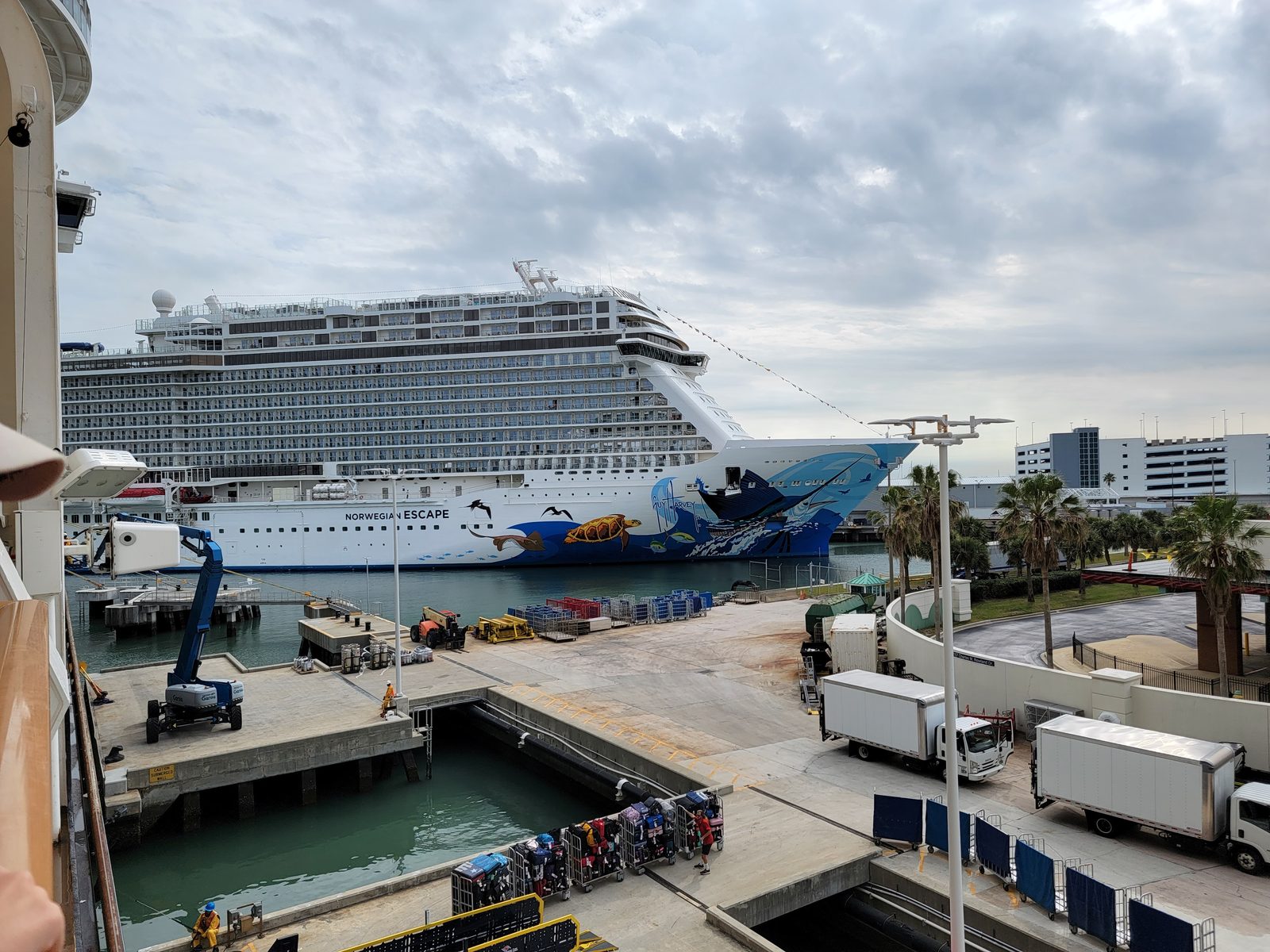 The Norwegian Escape next to us at Port Canaveral