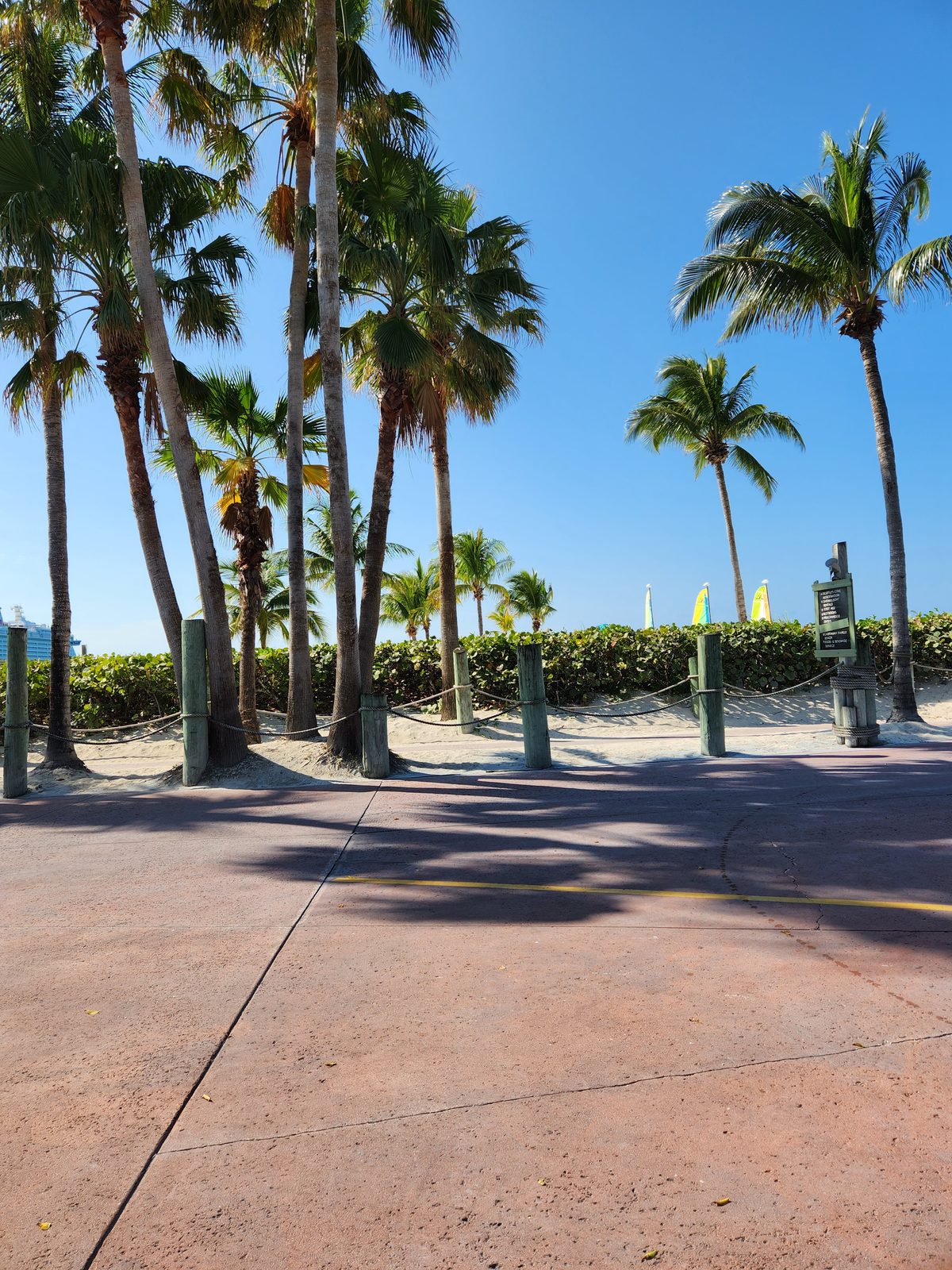 Palm-lined path onto Castaway Cay