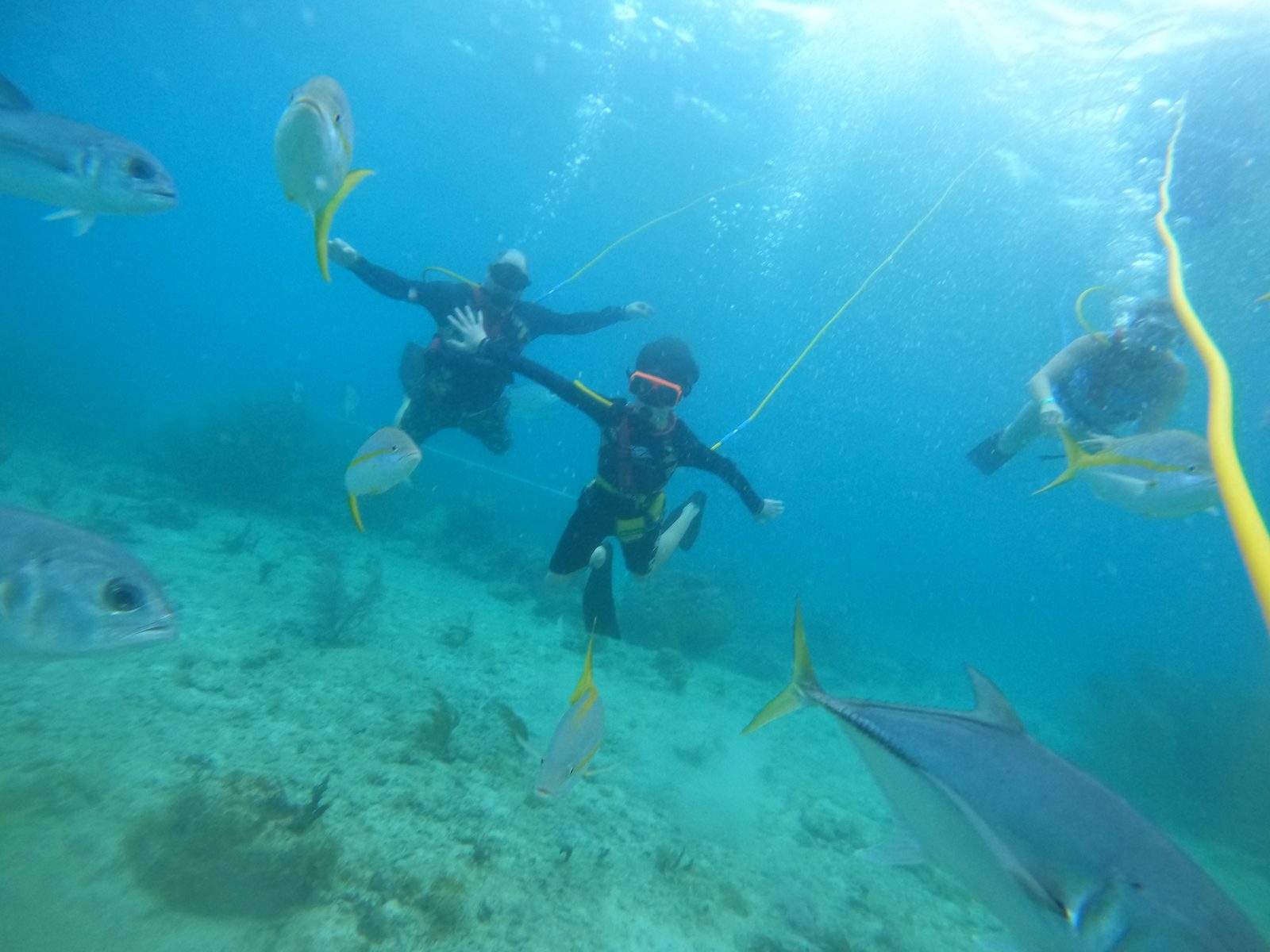 Coral World Ocean Park, St. Thomas
