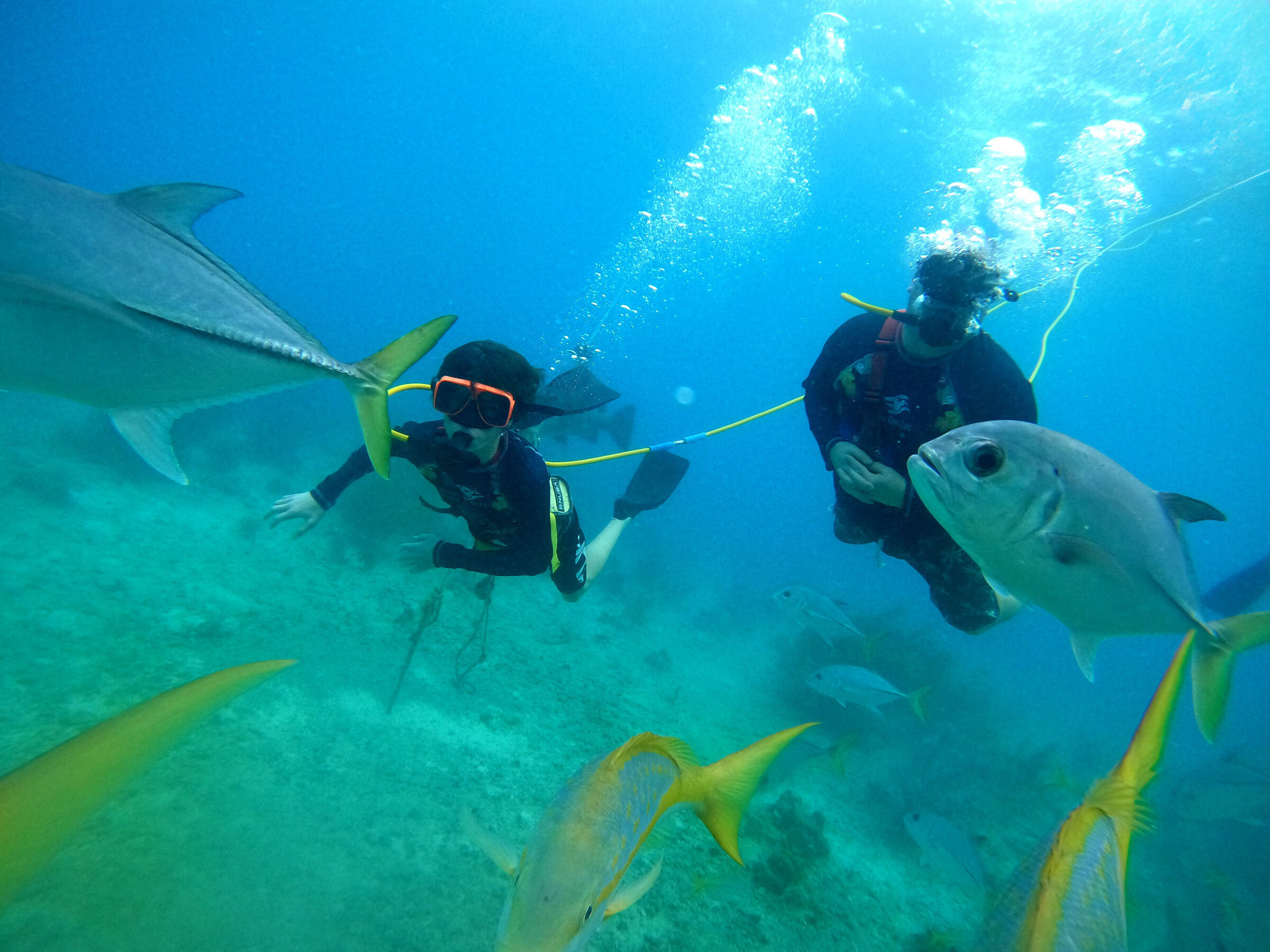 A jack up close on our SNUBA dive