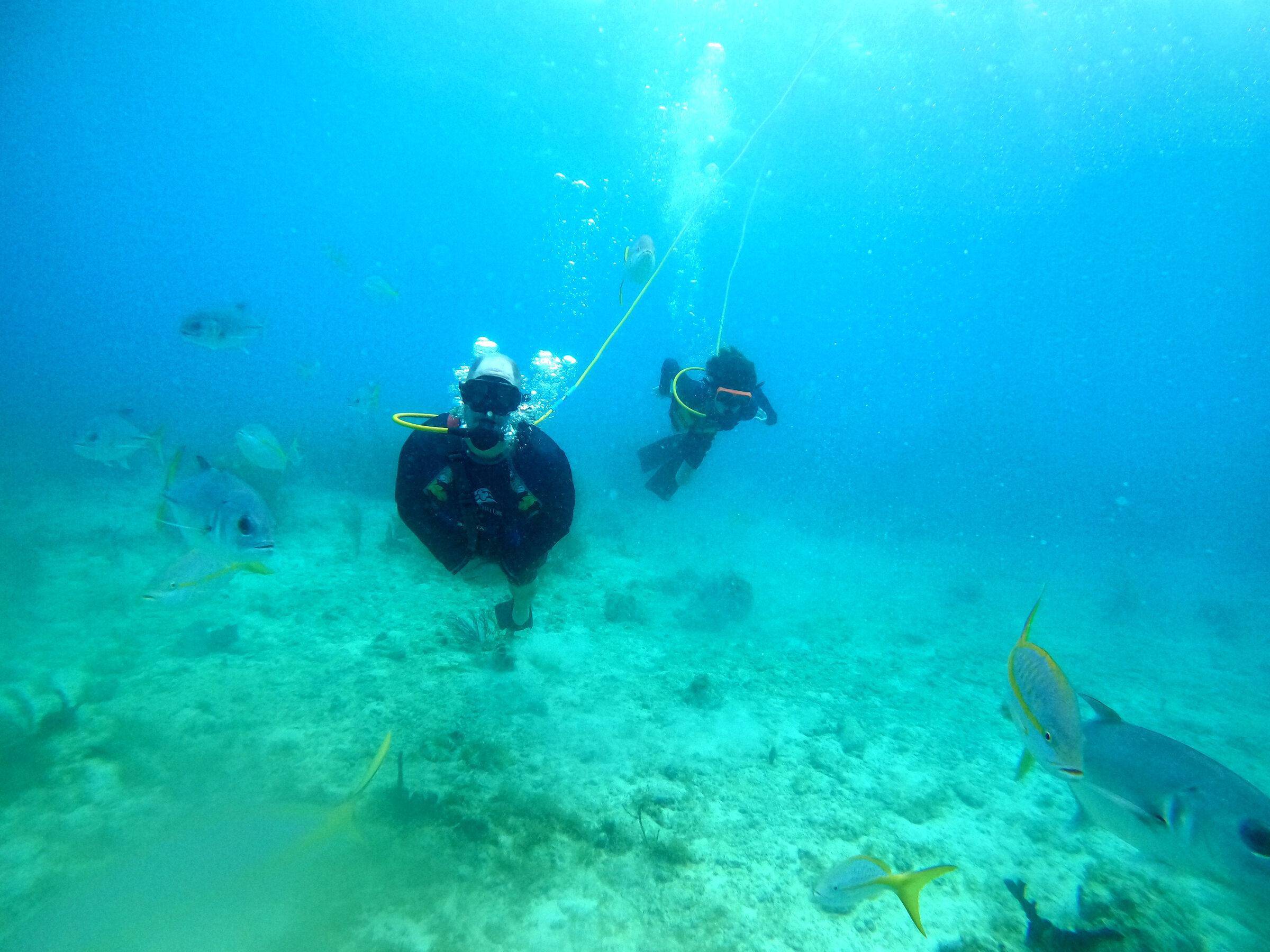Trailing bubbles on the SNUBA dive