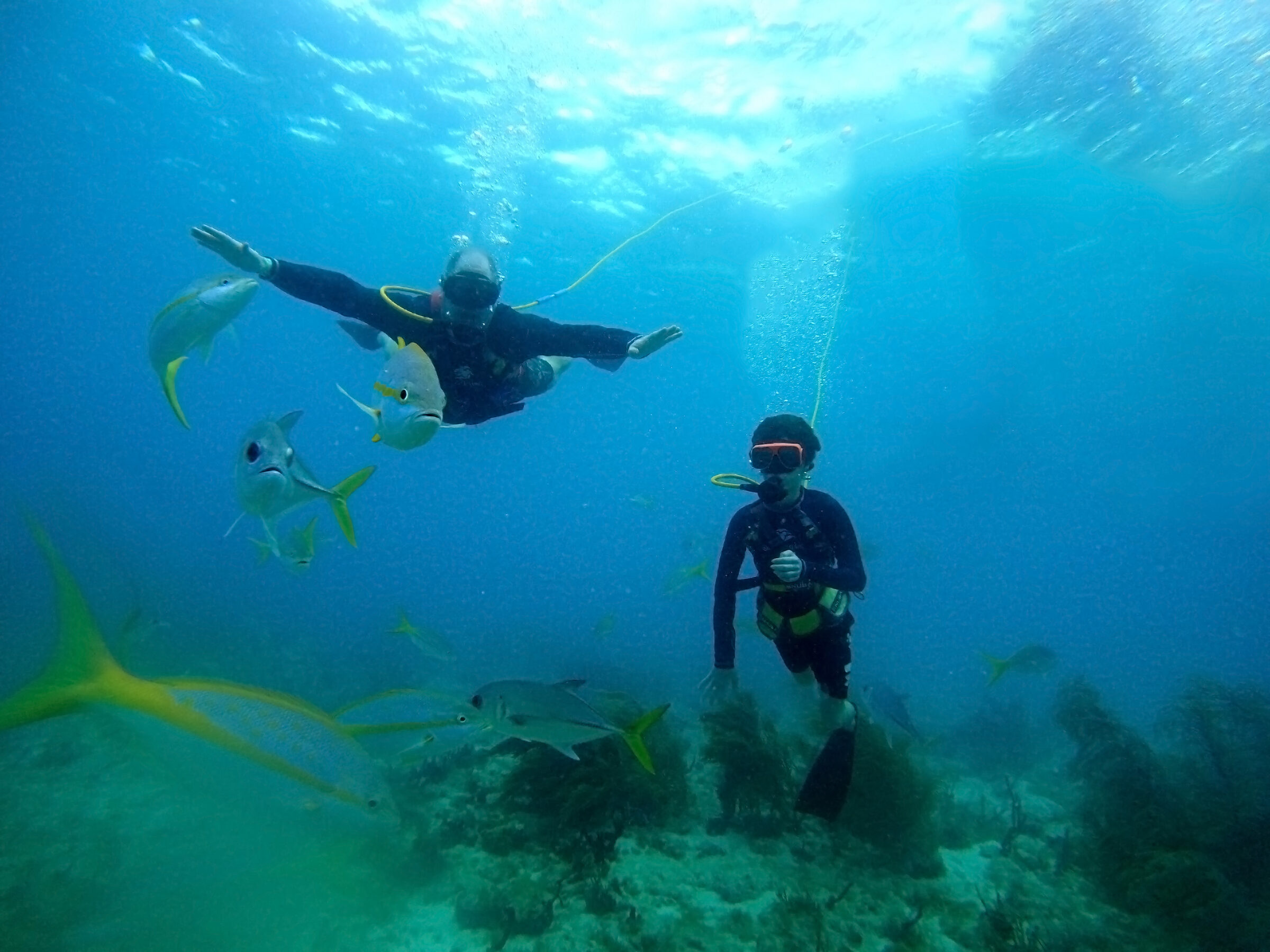 Thomas and me diving off Coki Point