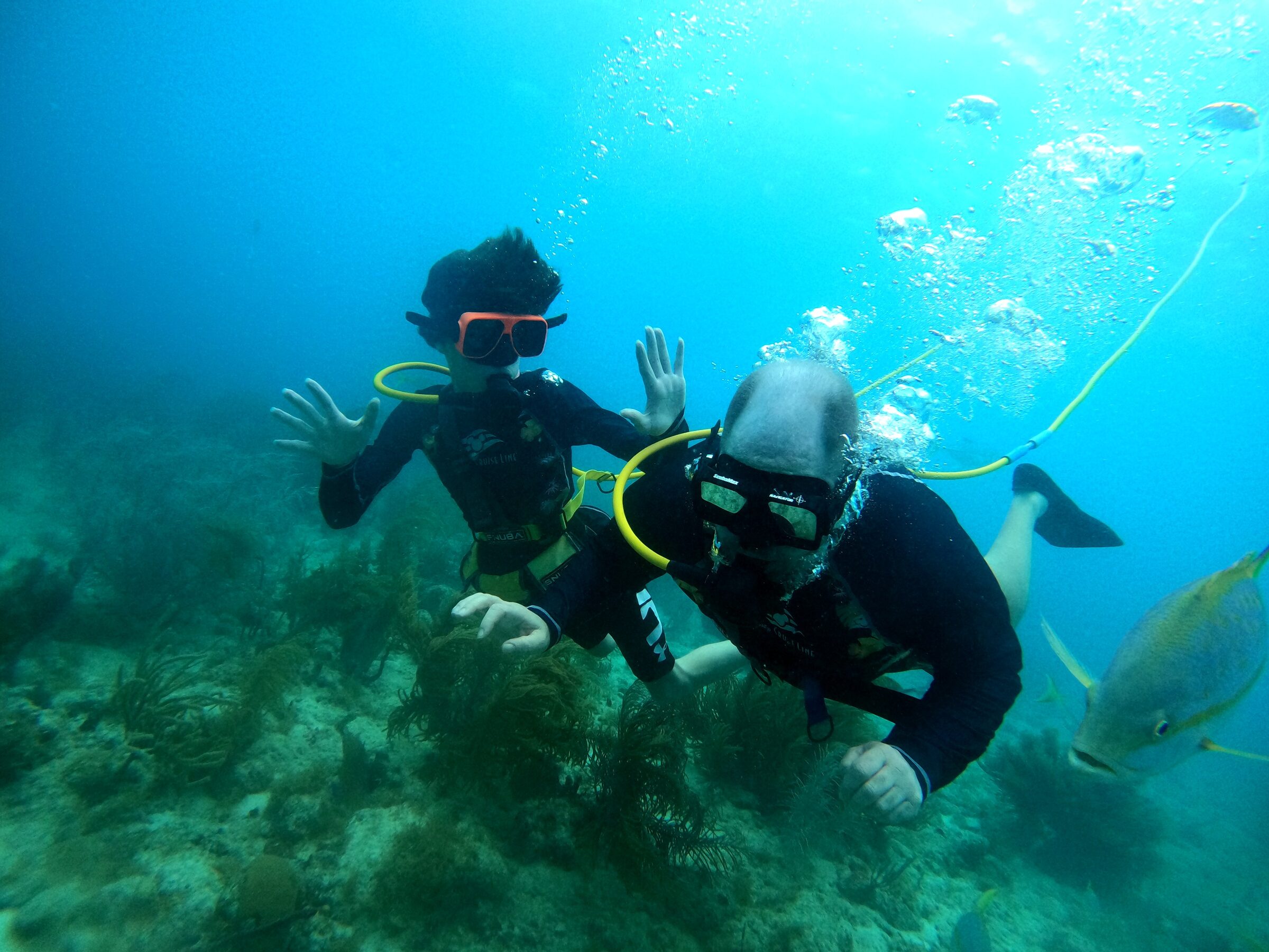 More of our SNUBA dive off Coki Point