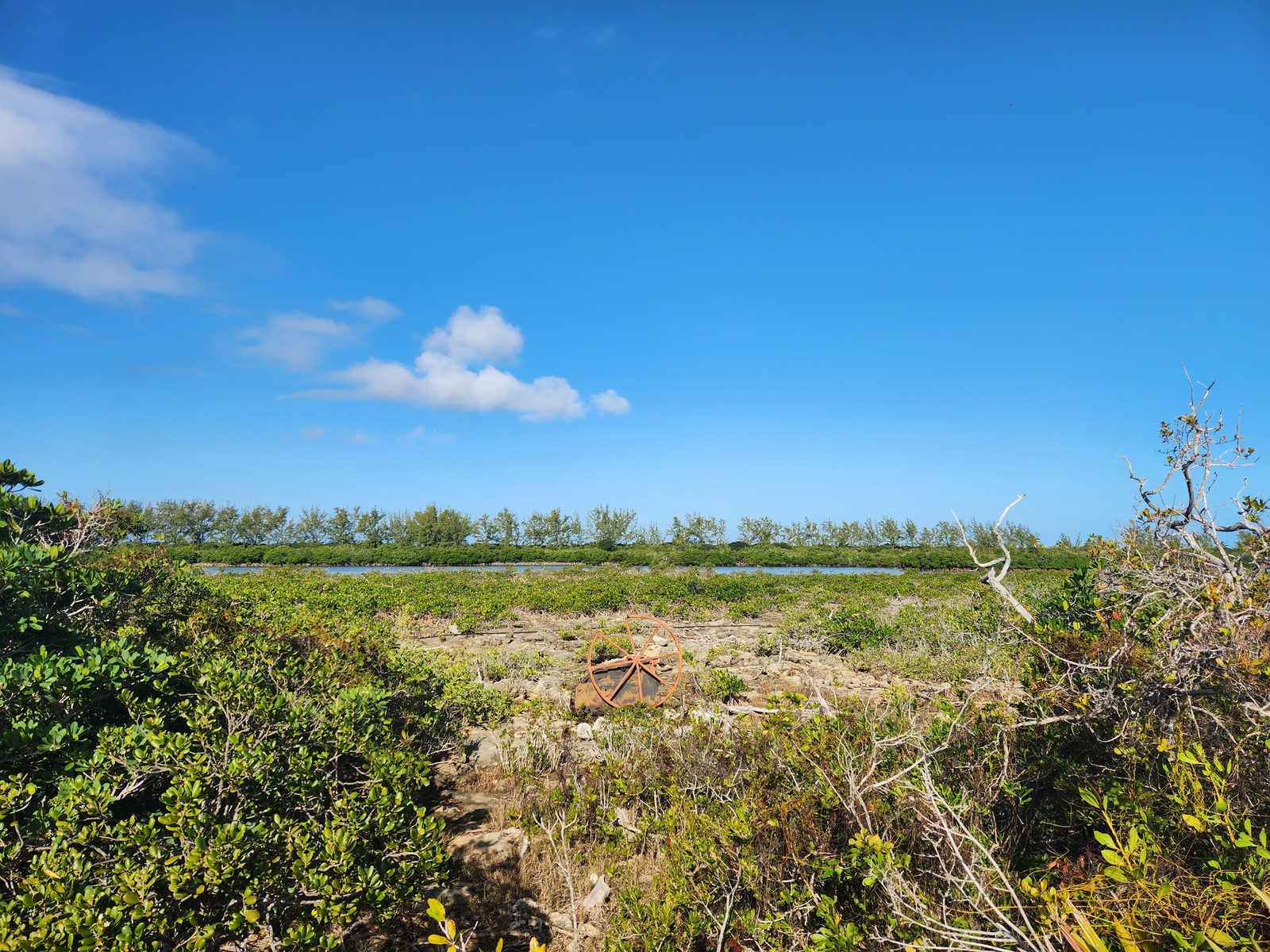 The nature trail past Castaway Cay's old anchor and wheel