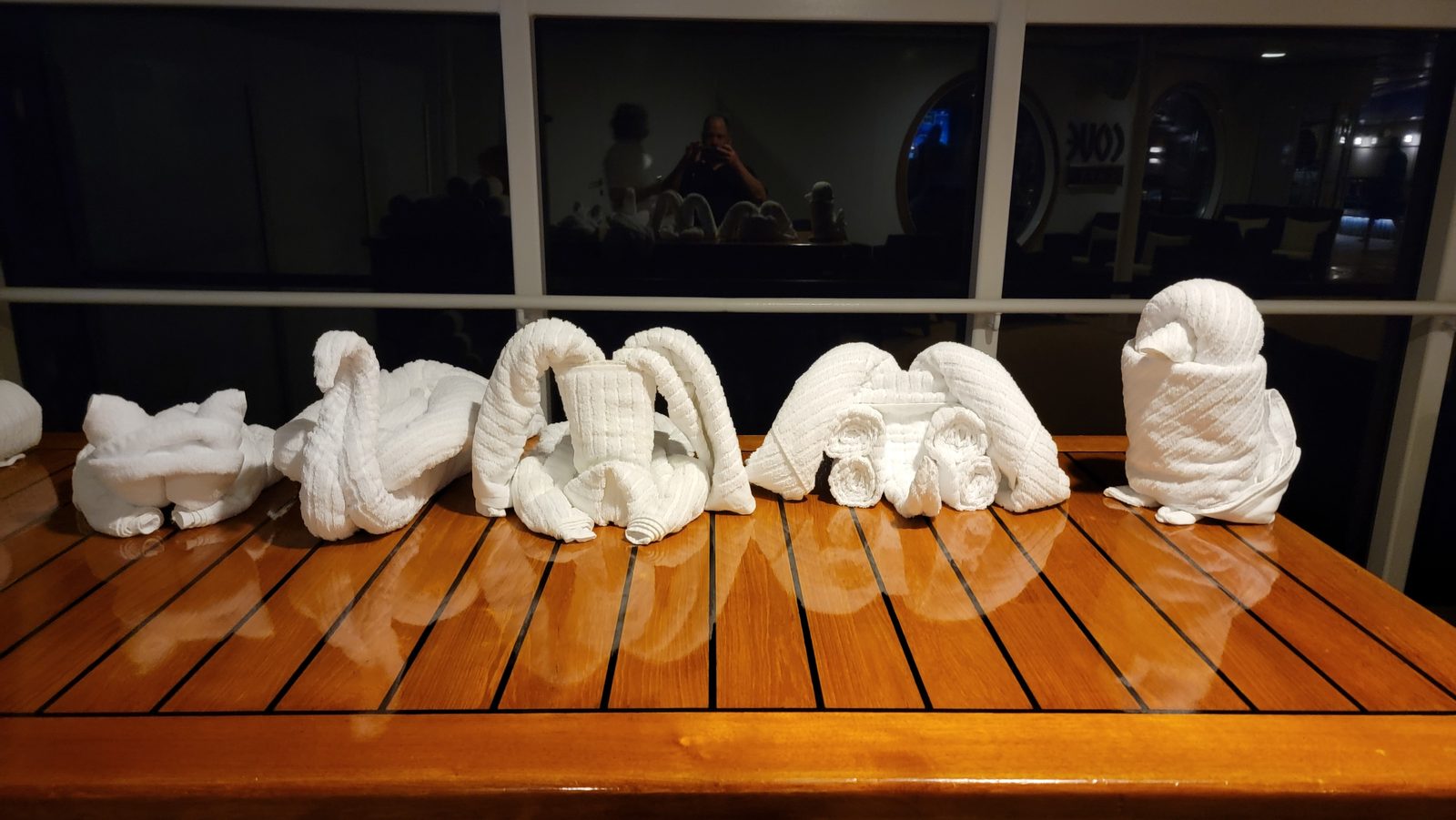 A row of towel animals waiting for us