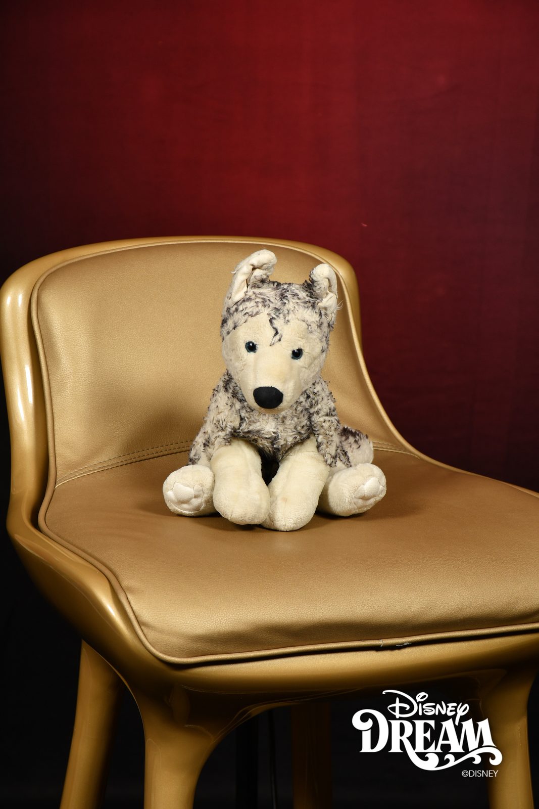 Bob on the portrait chair on the Disney Dream