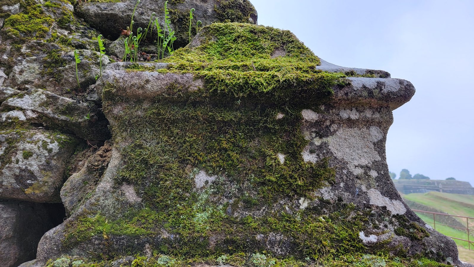 Moss on the old stone walls in Valença