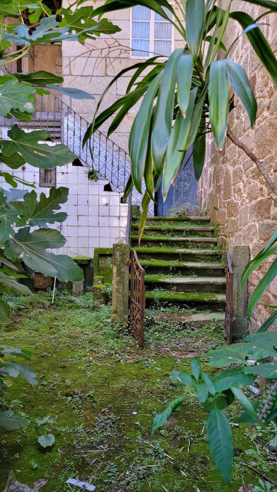 A mossy courtyard staircase in Tui