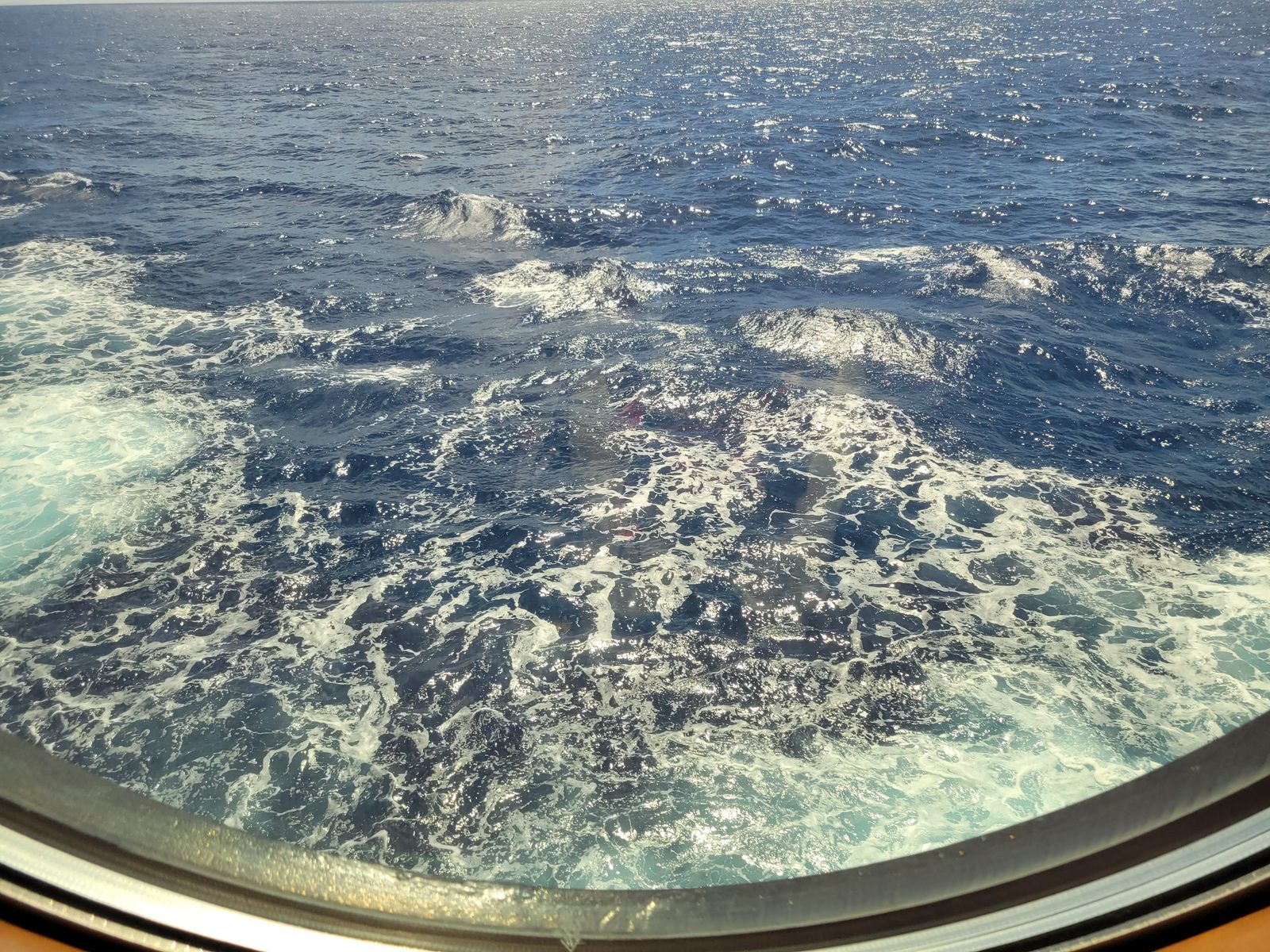 Photo: Day at Sea, day 7