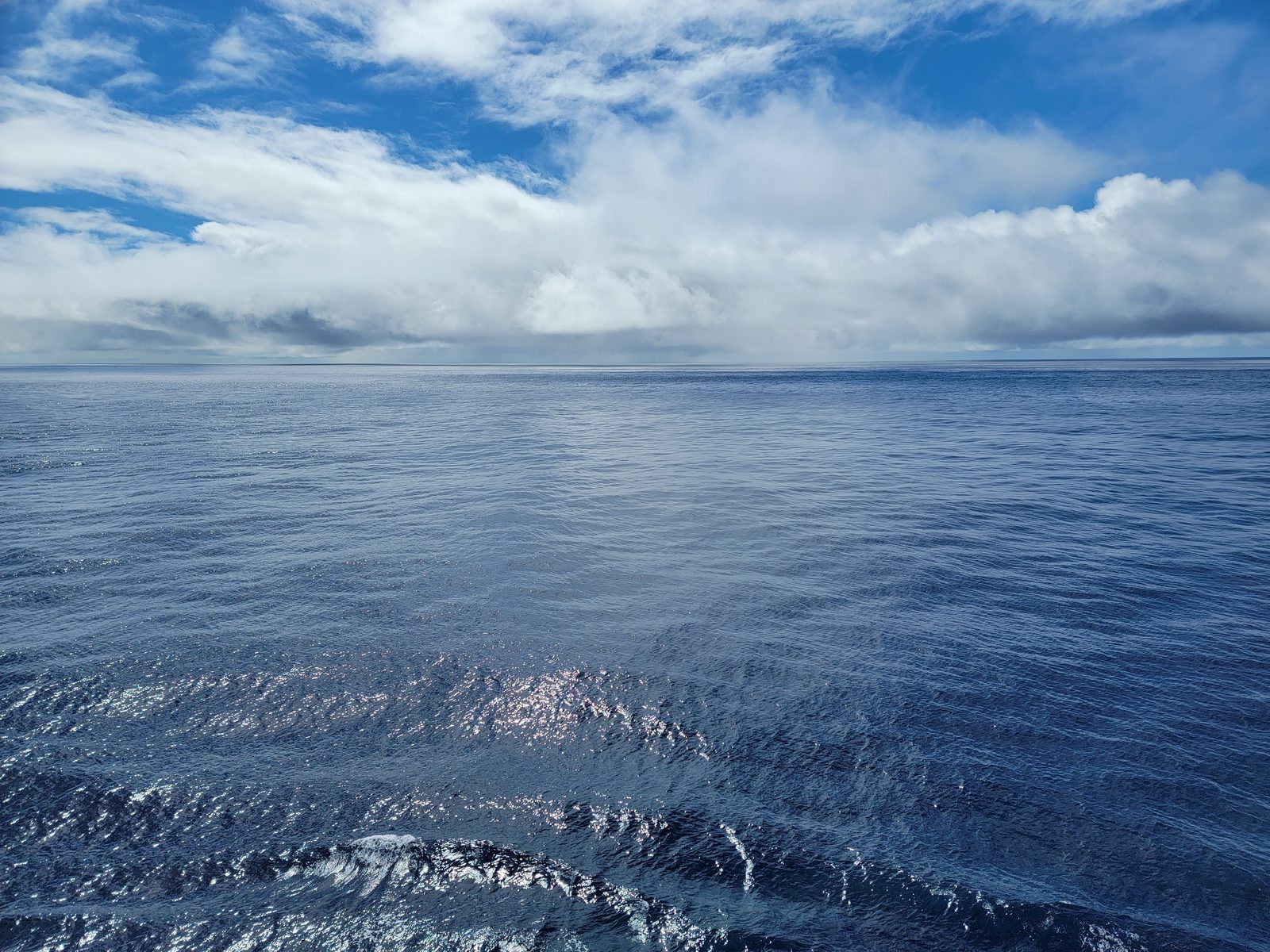 Photo: Day at Sea, day 8
