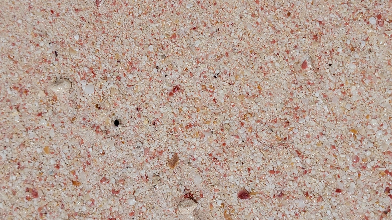 Pink sand at Horseshoe Bay in Bermuda