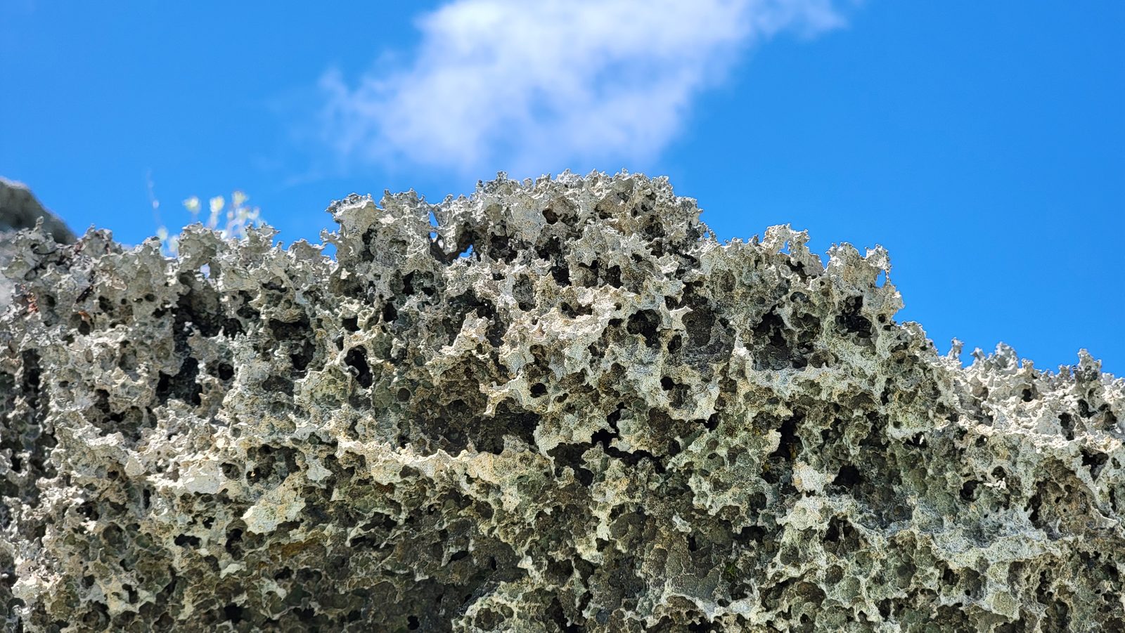 Weathered limestone rock at Horseshoe Bay
