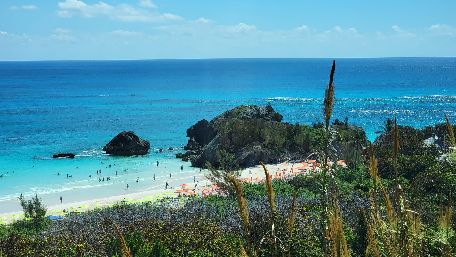 Looking over Horseshoe Bay in Bermuda