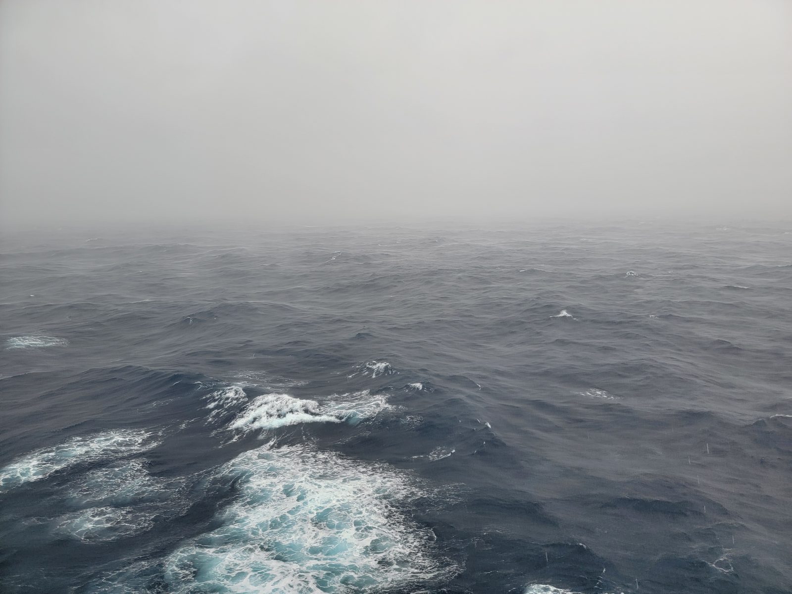 Photo: Day at Sea, day 13
