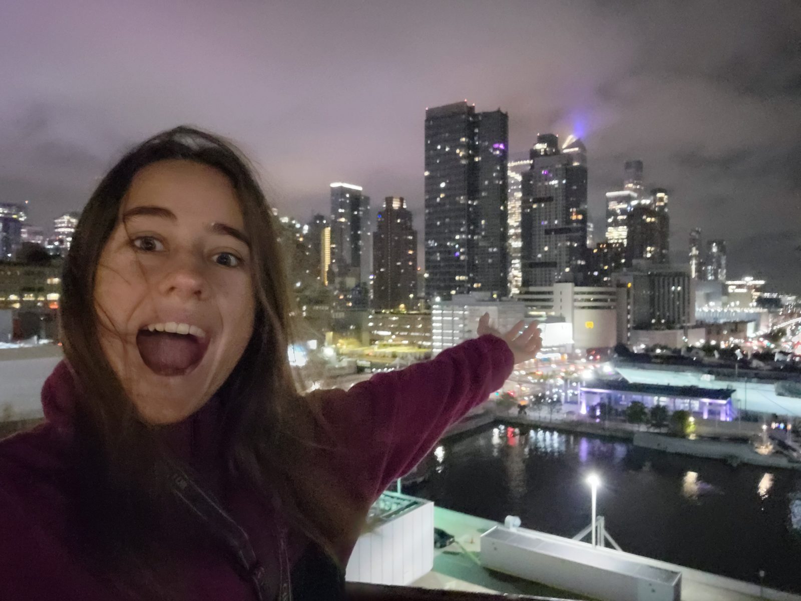 Lisa reacting to the skyline