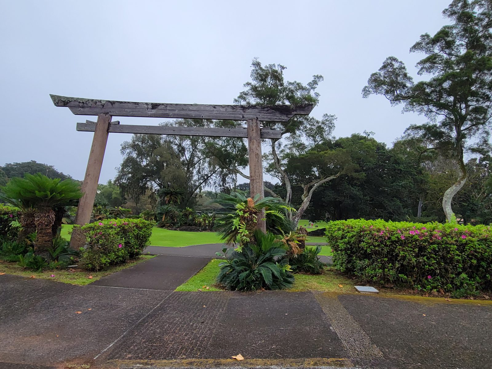 The torii gate in the mist