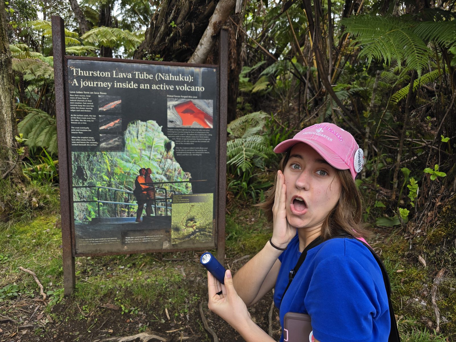 Lisa's reaction to the lava tube sign