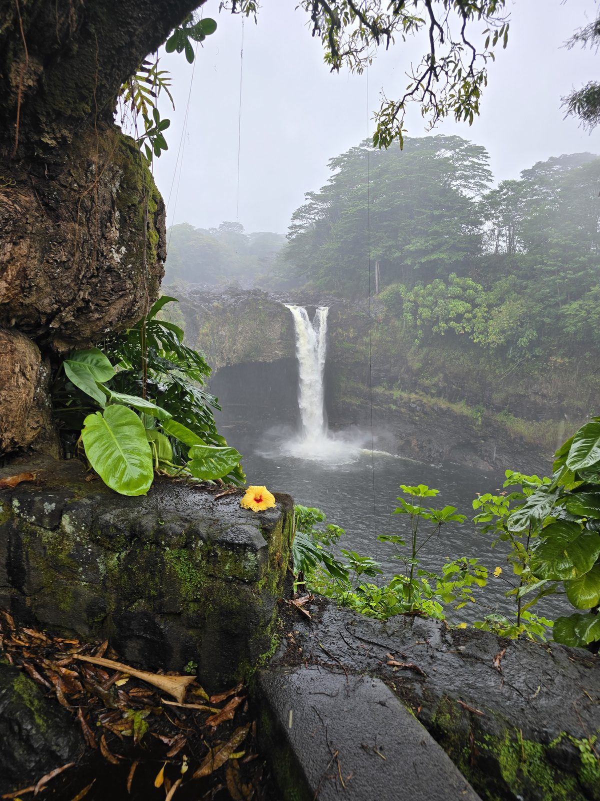 Rainbow Falls, Hilo