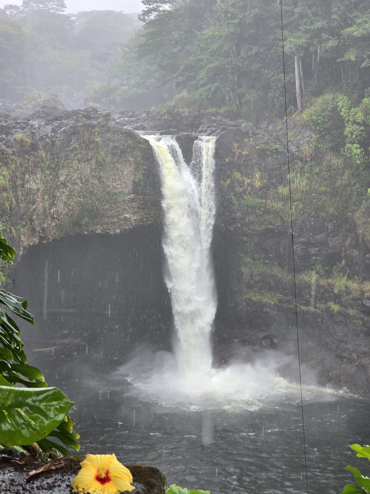 10-Night Hawaiian Cruise from Honolulu ending in Vancouver