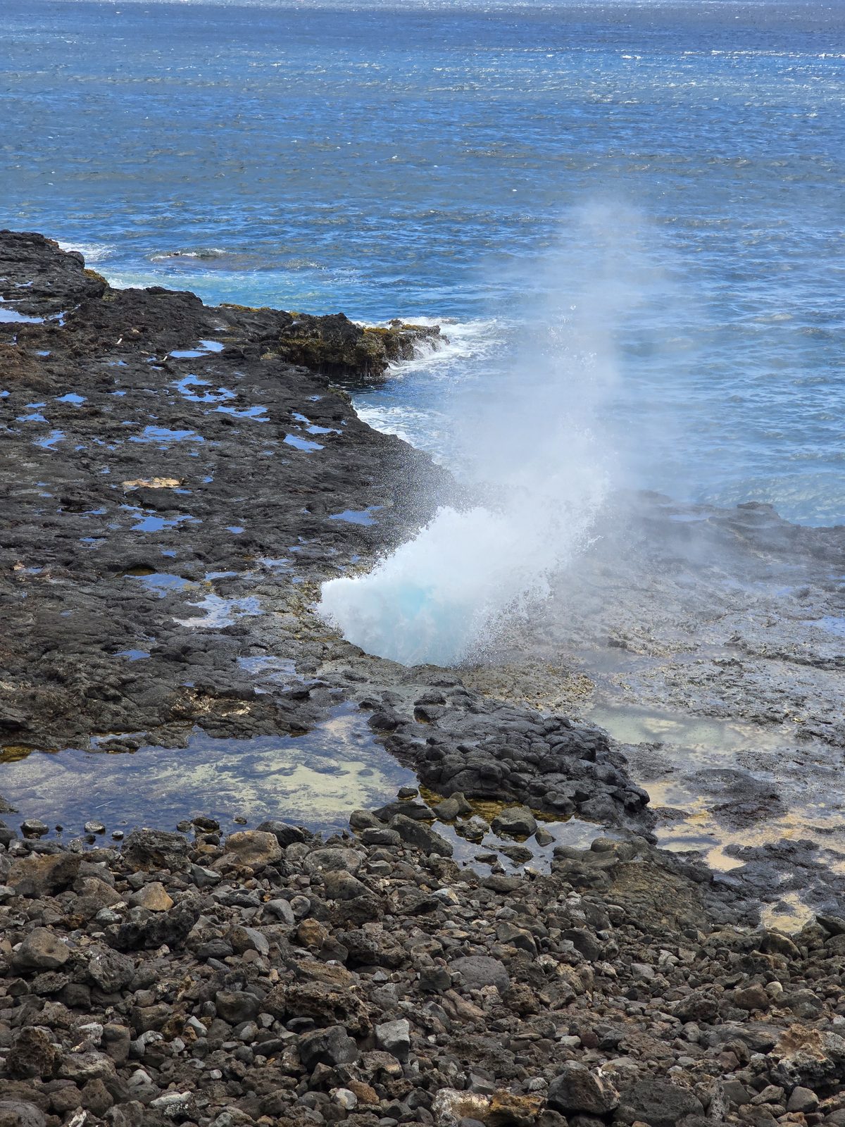 10-Night Hawaiian Cruise from Honolulu ending in Vancouver