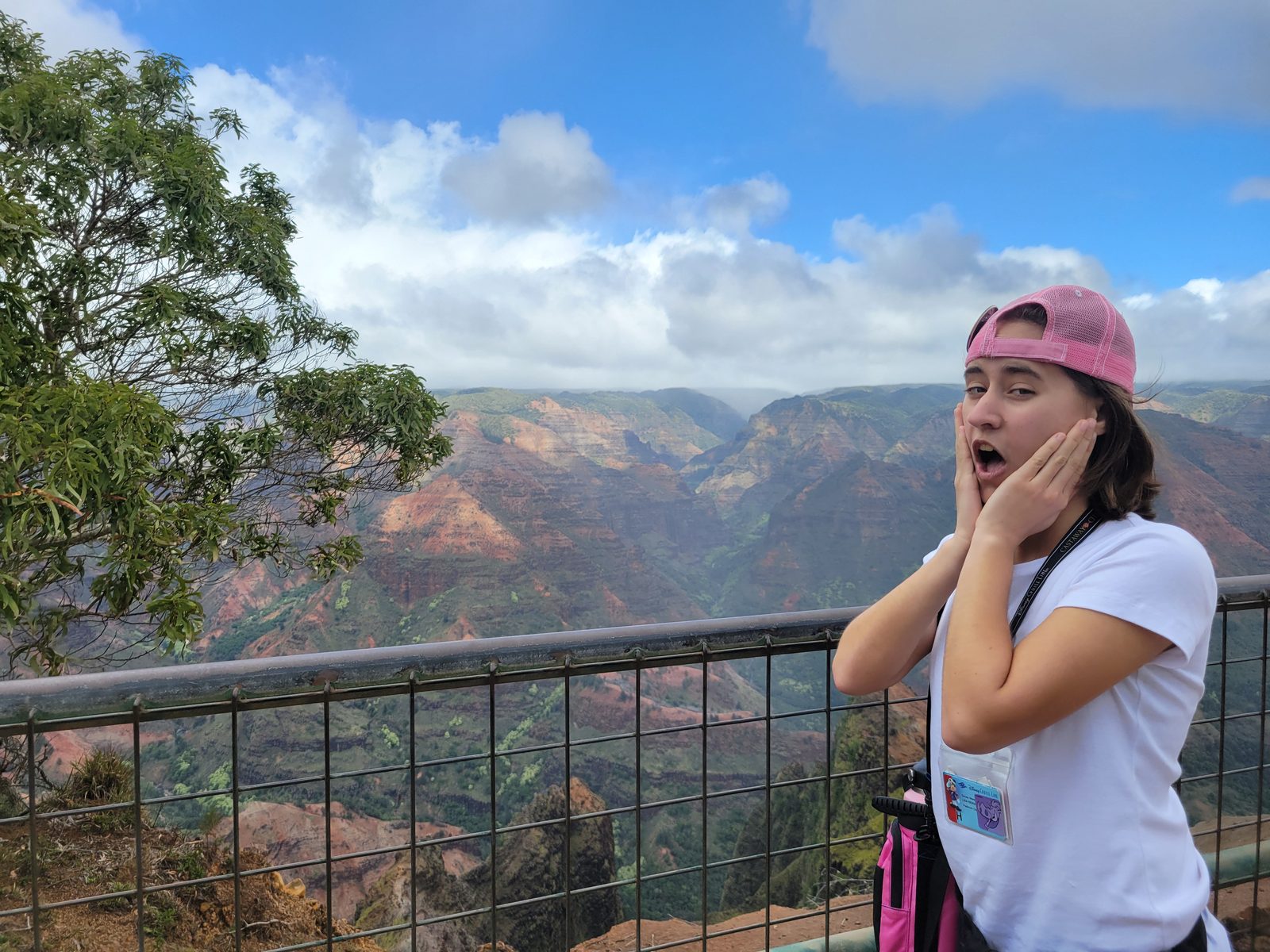 Lisa's reaction to the drop at Waimea Canyon Lookout