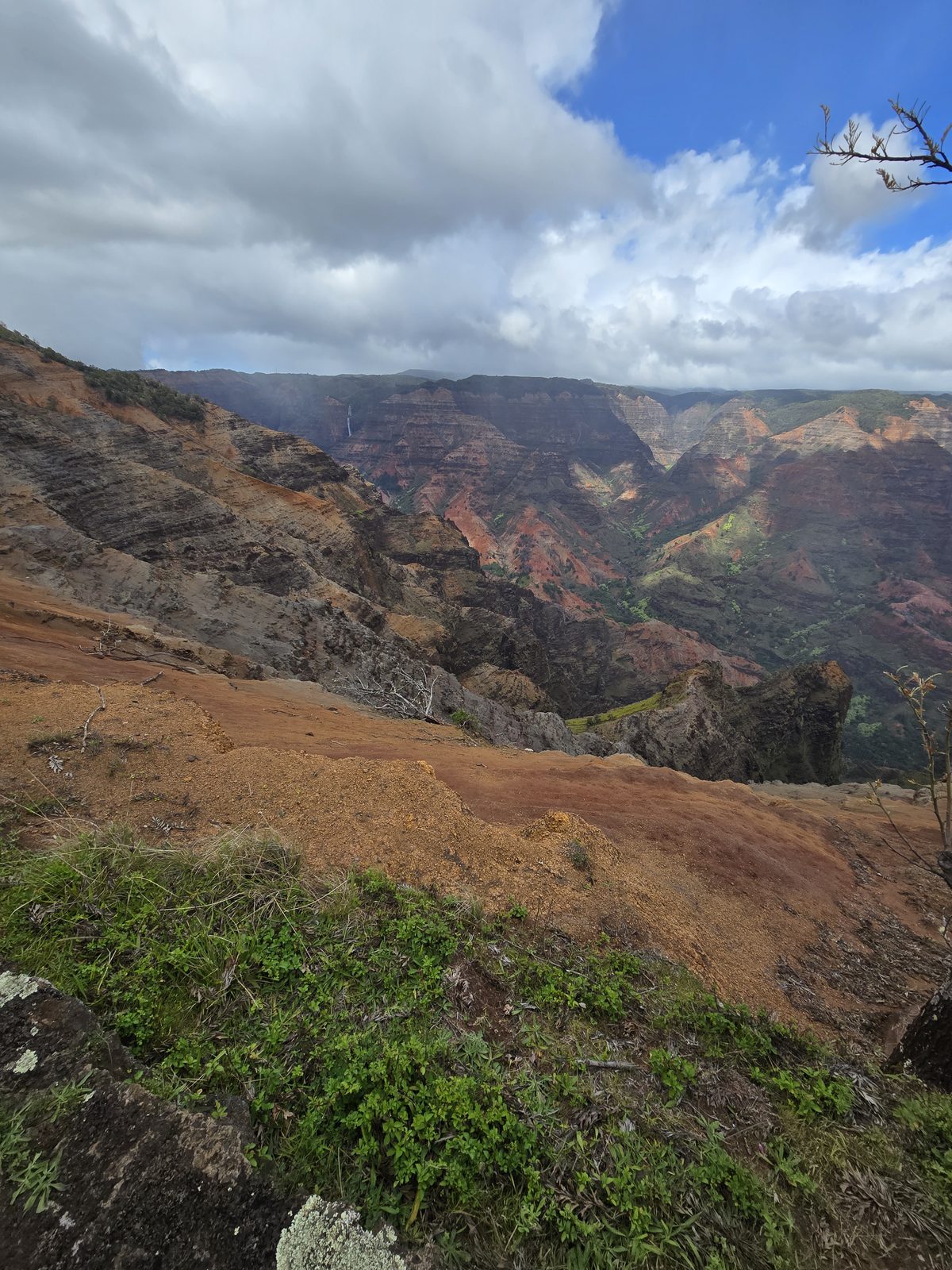 Red earth and green ridges at Waimea Canyon