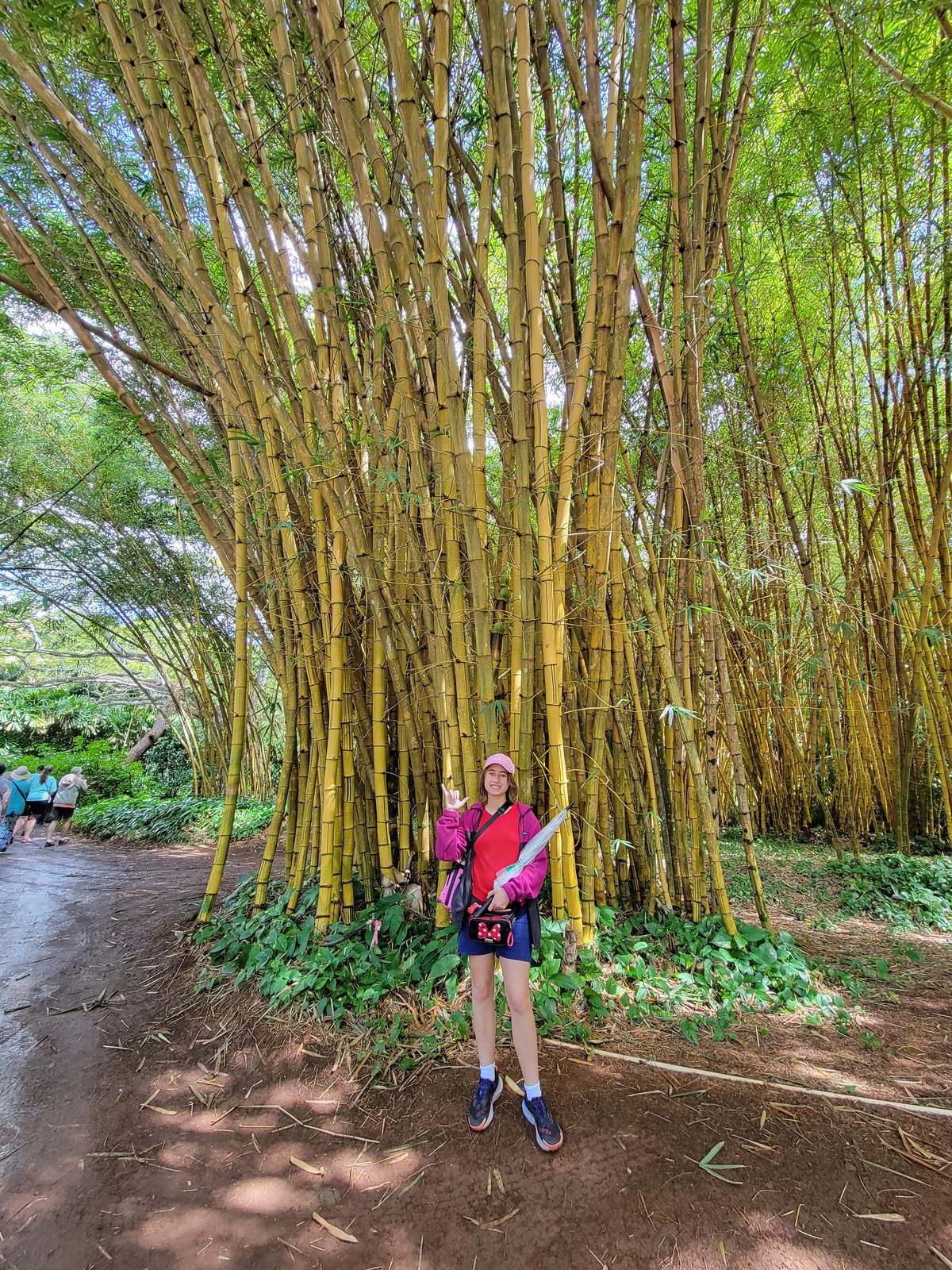 Lisa in the golden bamboo grove
