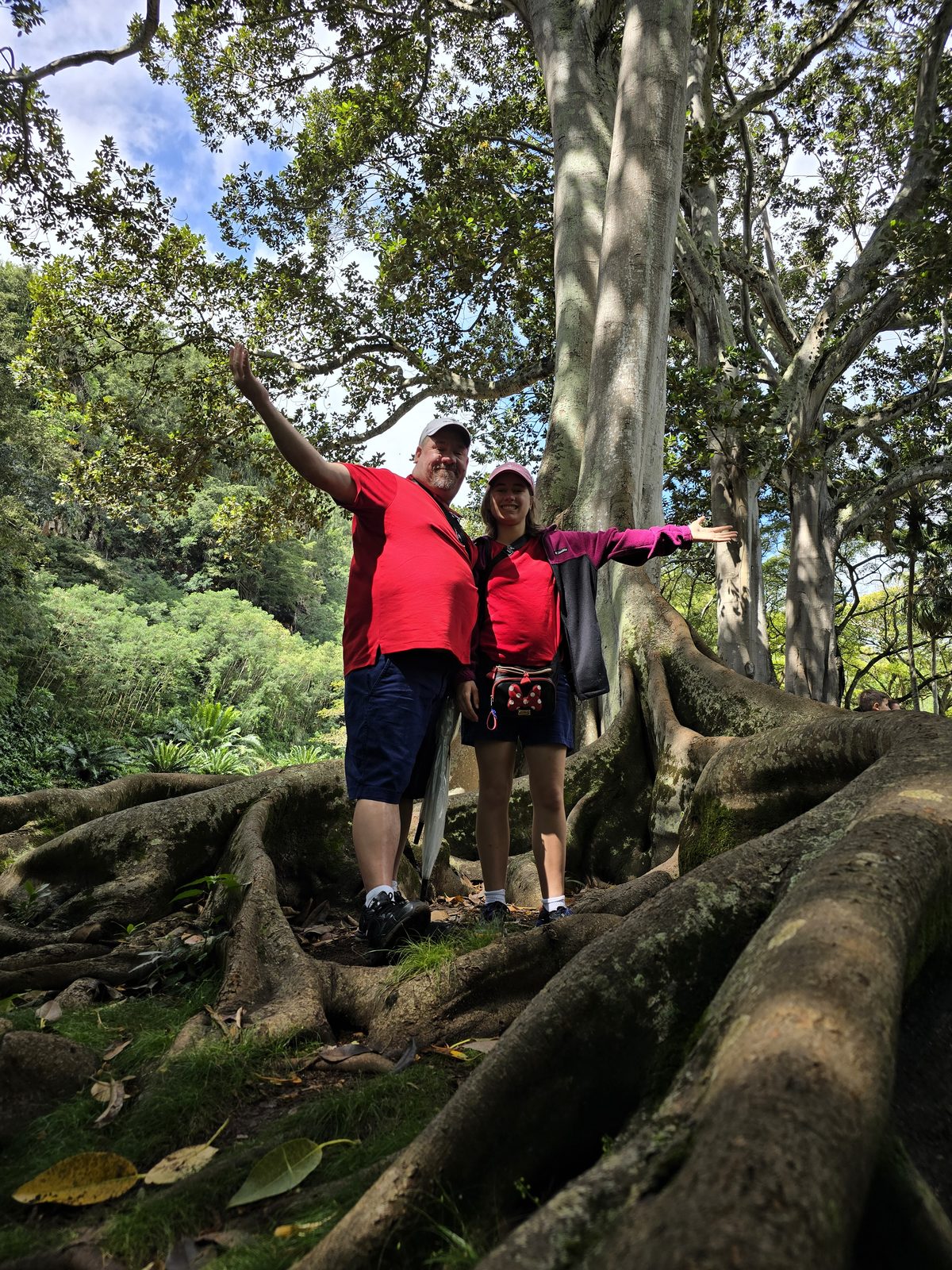 Among the roots of the enormous fig tree