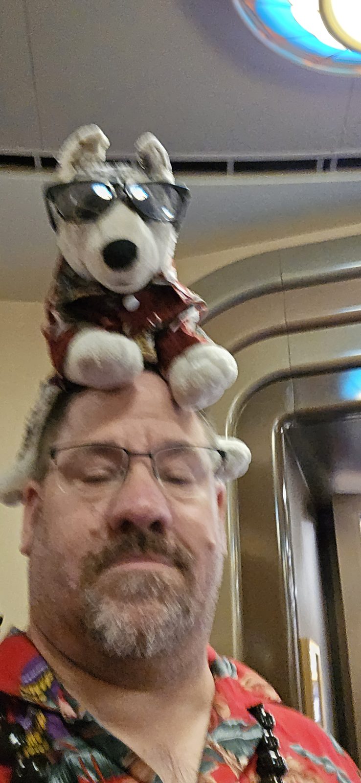 Bob riding along on my head