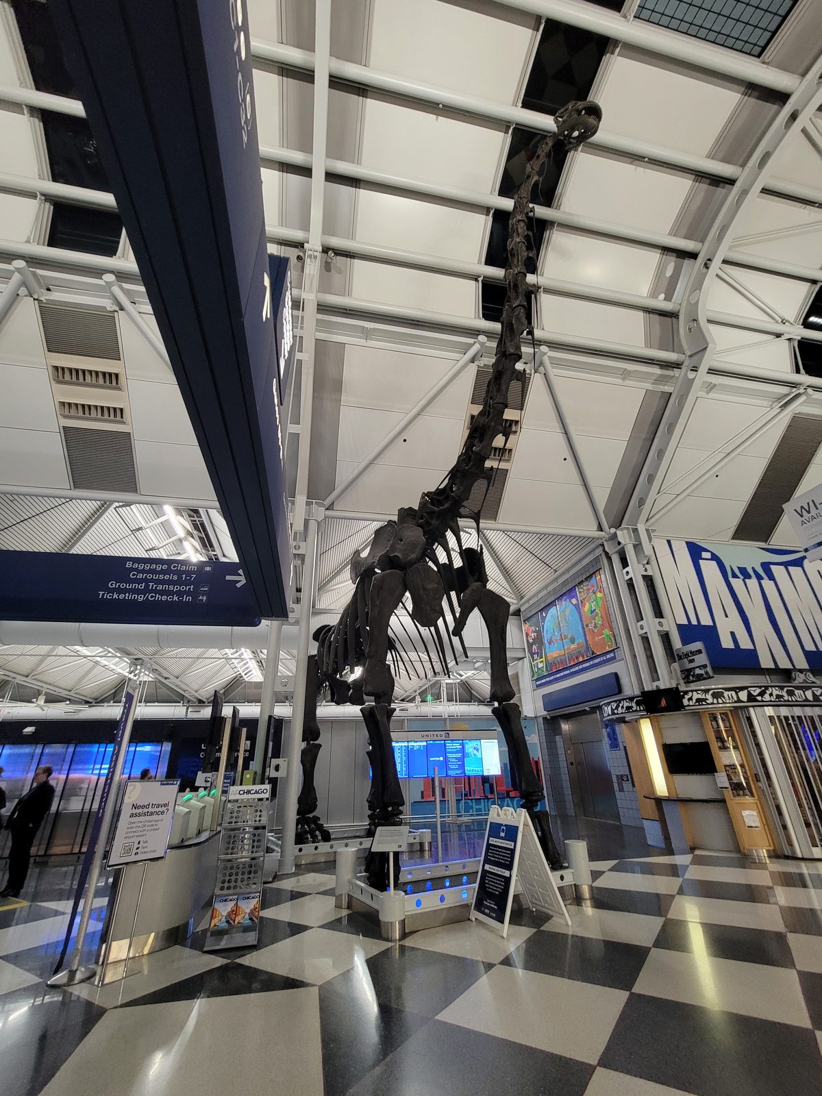 The dinosaur skeleton hanging over our layover in Chicago