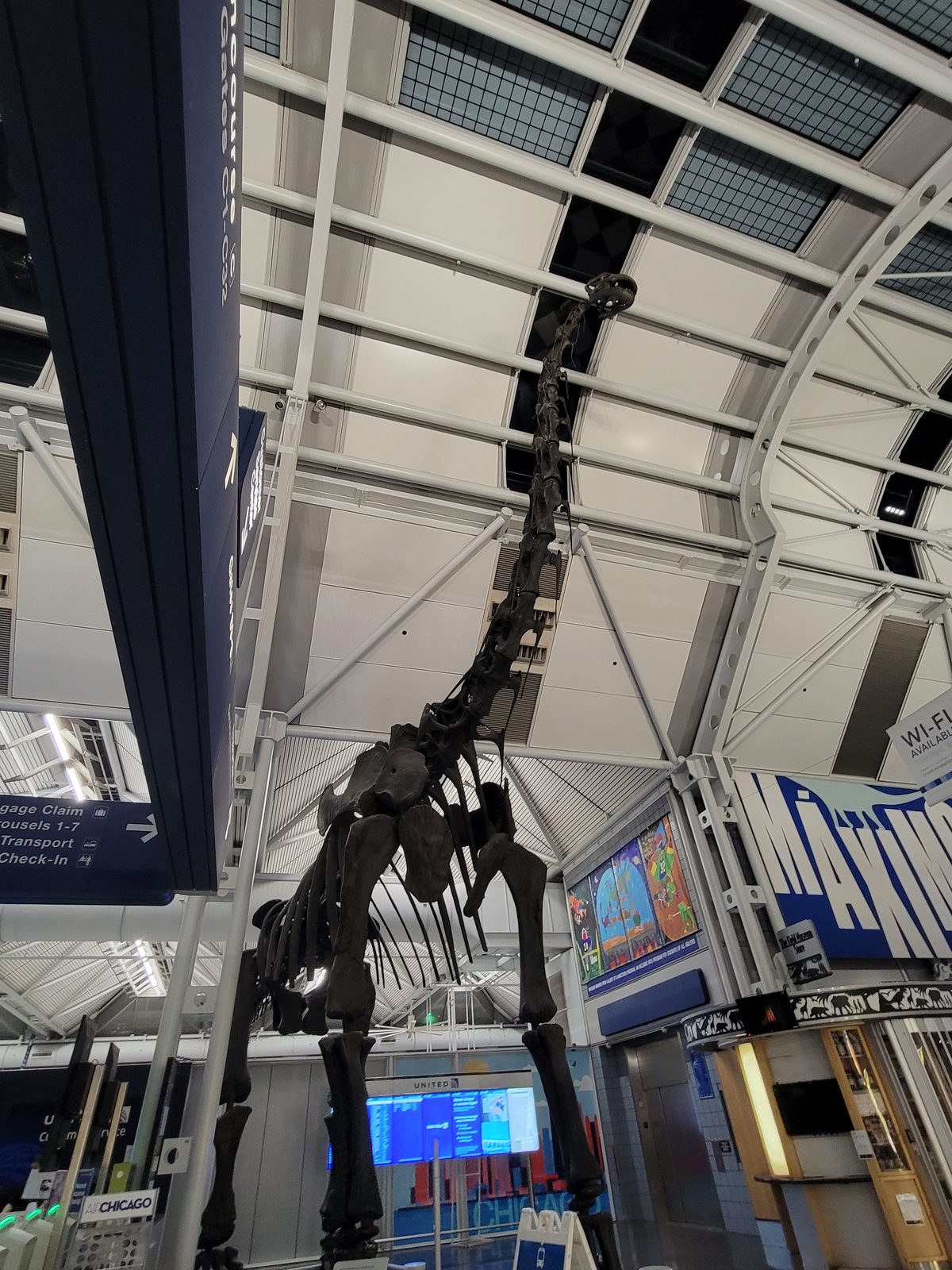 The dinosaur skeleton at O'Hare
