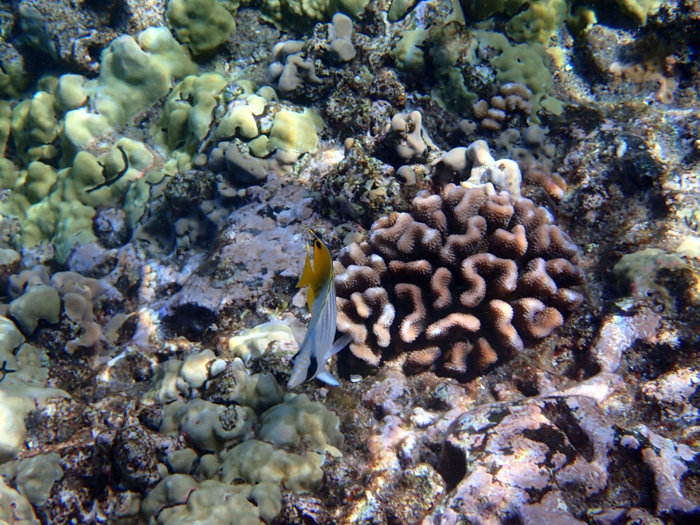 Photo: Molokini Crater, Hawaii, day 2