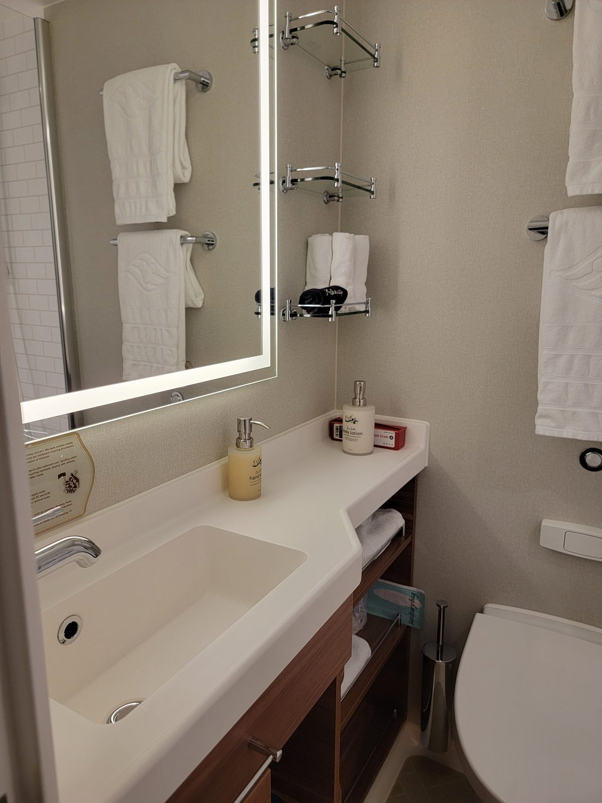 The bathroom in our stateroom on the Wish
